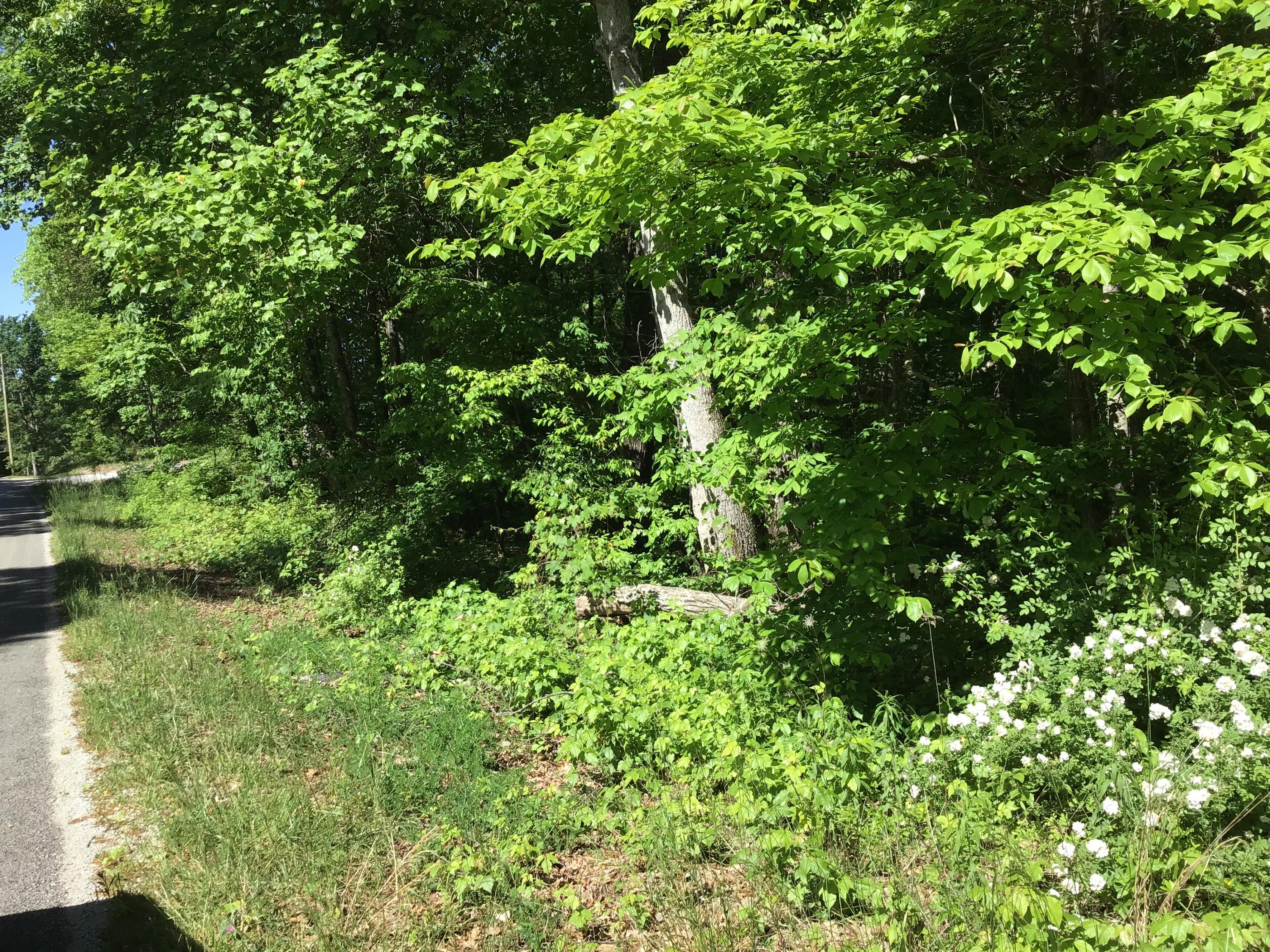 192 Christian Road Crossville, TN 38572 - Photo 1 of 3 E7B2CF2D-A02D-4465-B3EC-B55DB9B8A785