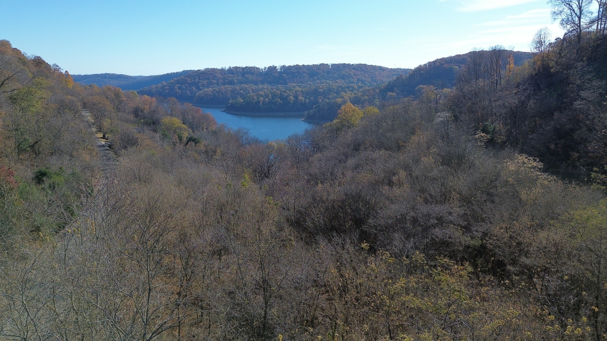 a view of mountain and a forest