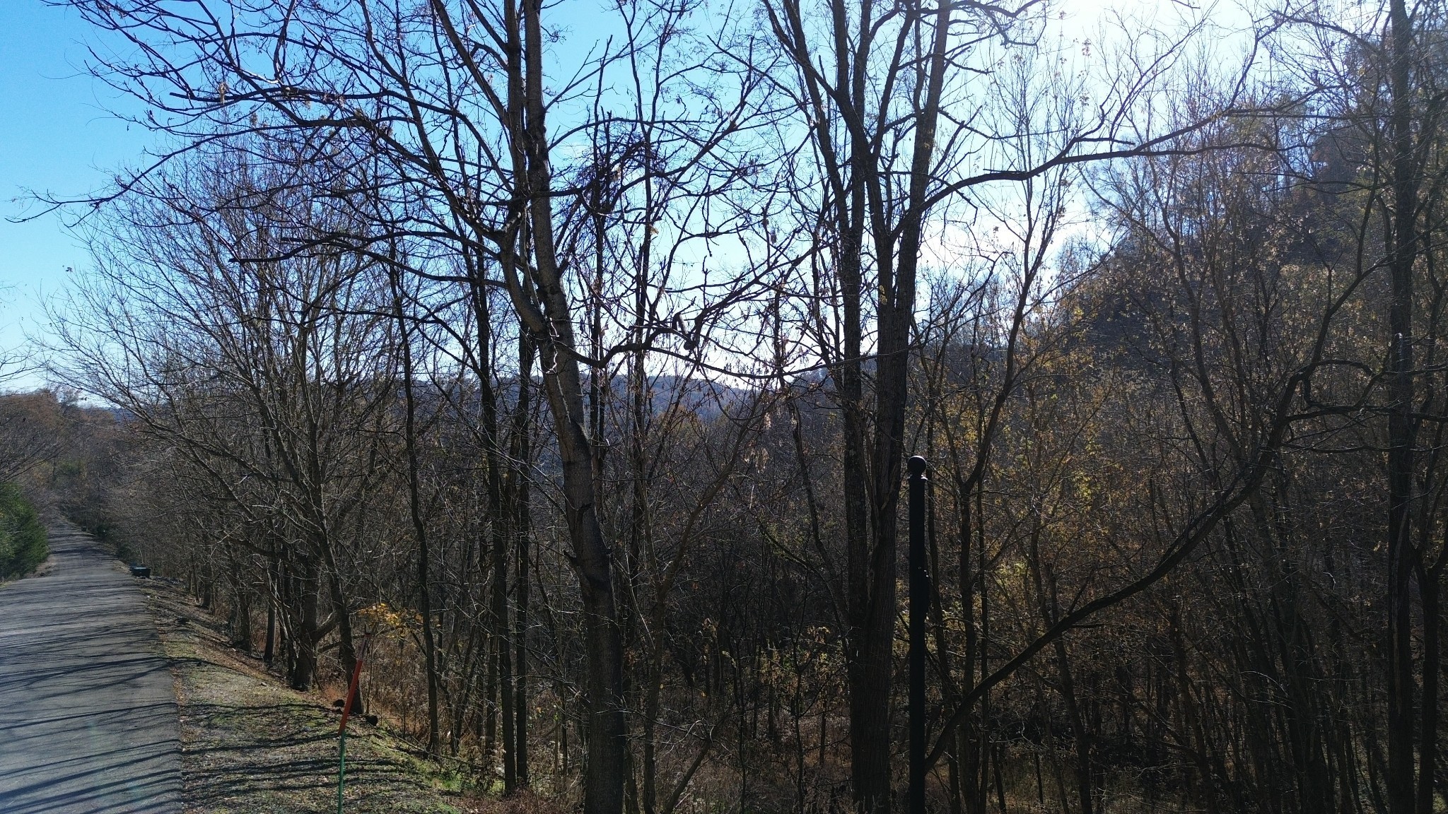 85 Blackberry Rdg Way Smithville, TN 37166 - Photo 10 of 12 a backyard of a house with trees