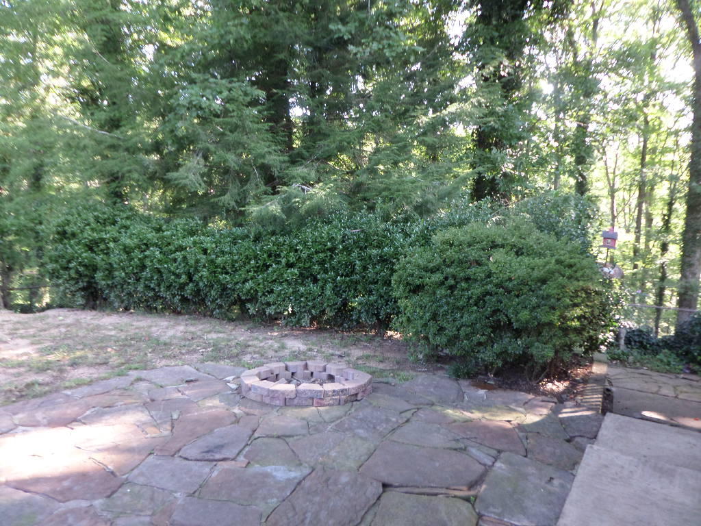 162 California Avenue Oak Ridge, TN 37830 - Photo 20 of 25 Back Patio