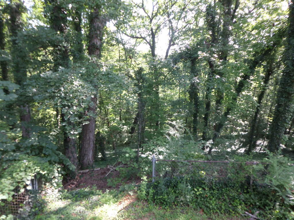 162 California Avenue Oak Ridge, TN 37830 - Photo 24 of 25 Greenway