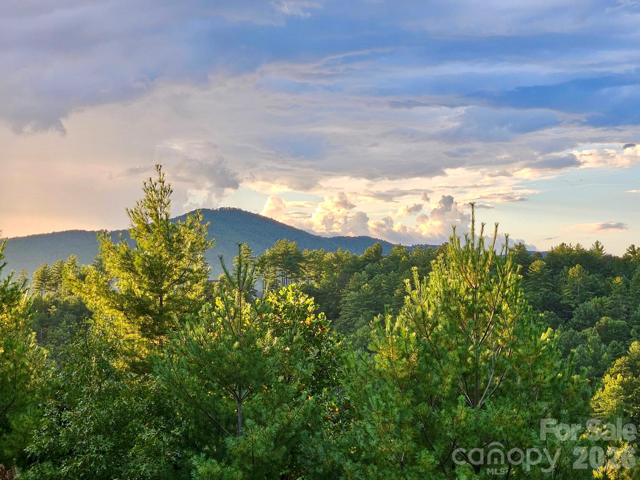 5564 Table View Lane Lenoir, NC 28645 - Photo 12 of 48 a view of a city