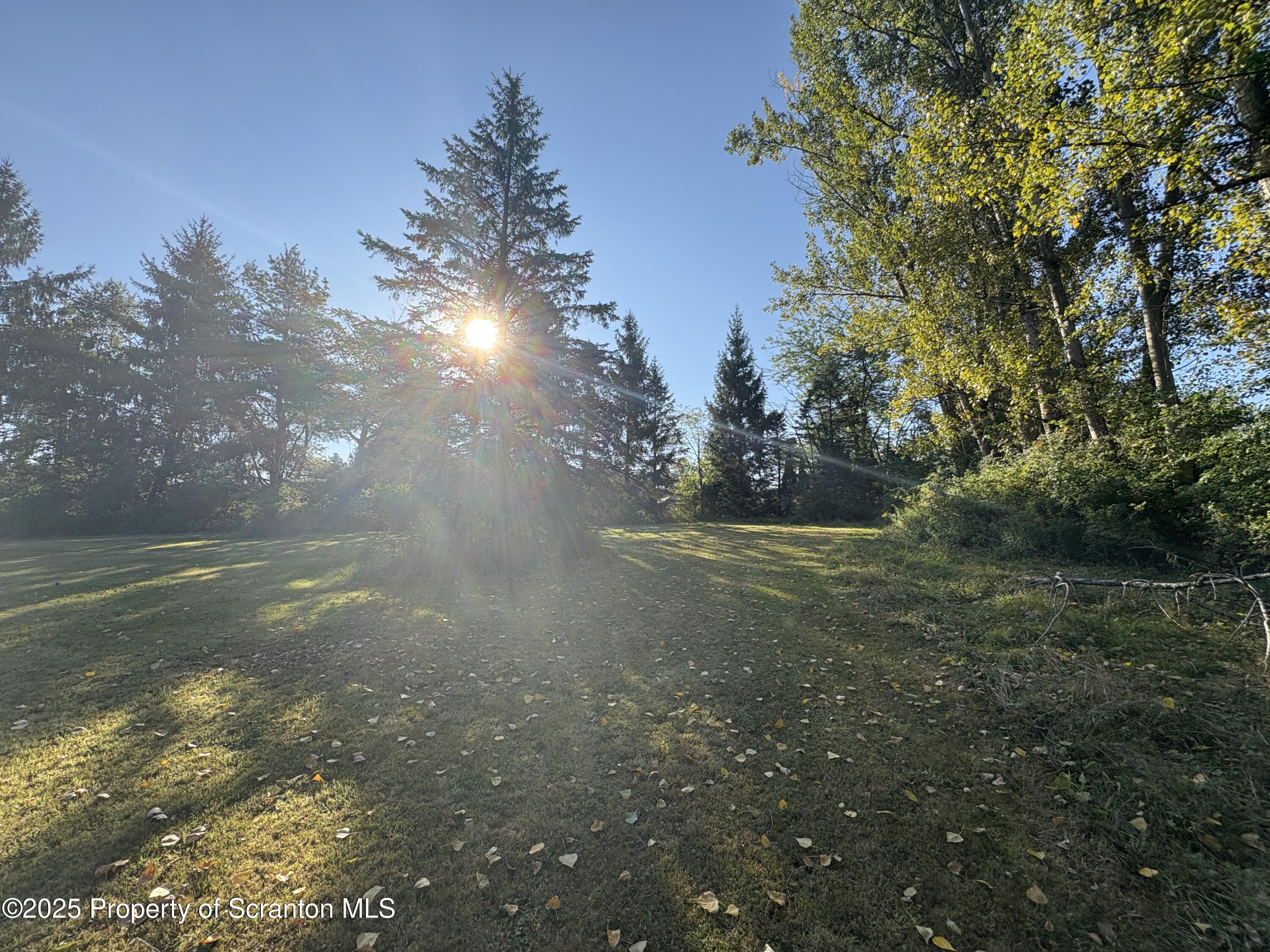 9119 Valley View Drive Clarks Summit, PA 18411 - Photo 33 of 78 a view of a yard