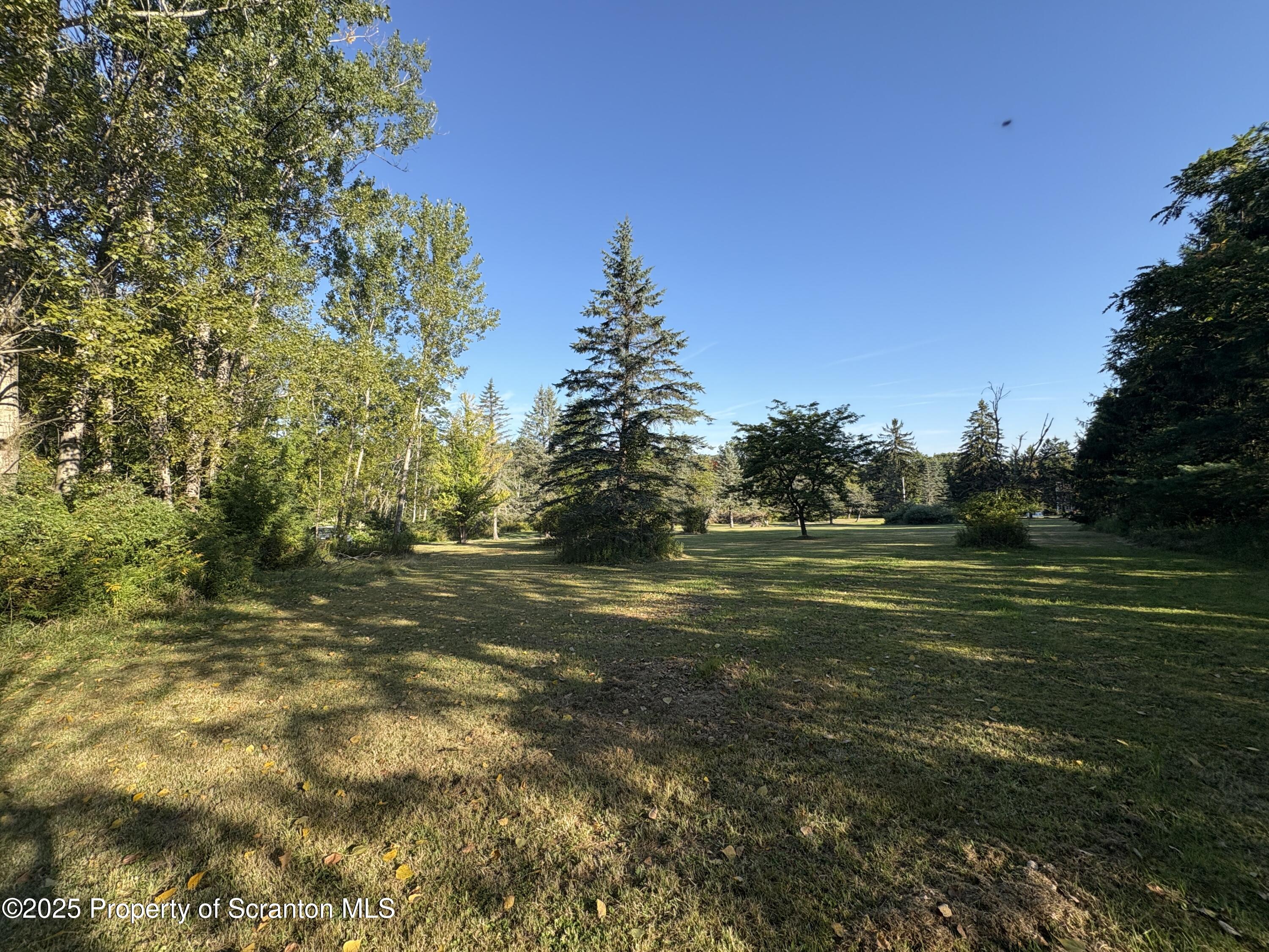 9119 Valley View Drive Clarks Summit, PA 18411 - Photo 47 of 78 a view of a field with an trees