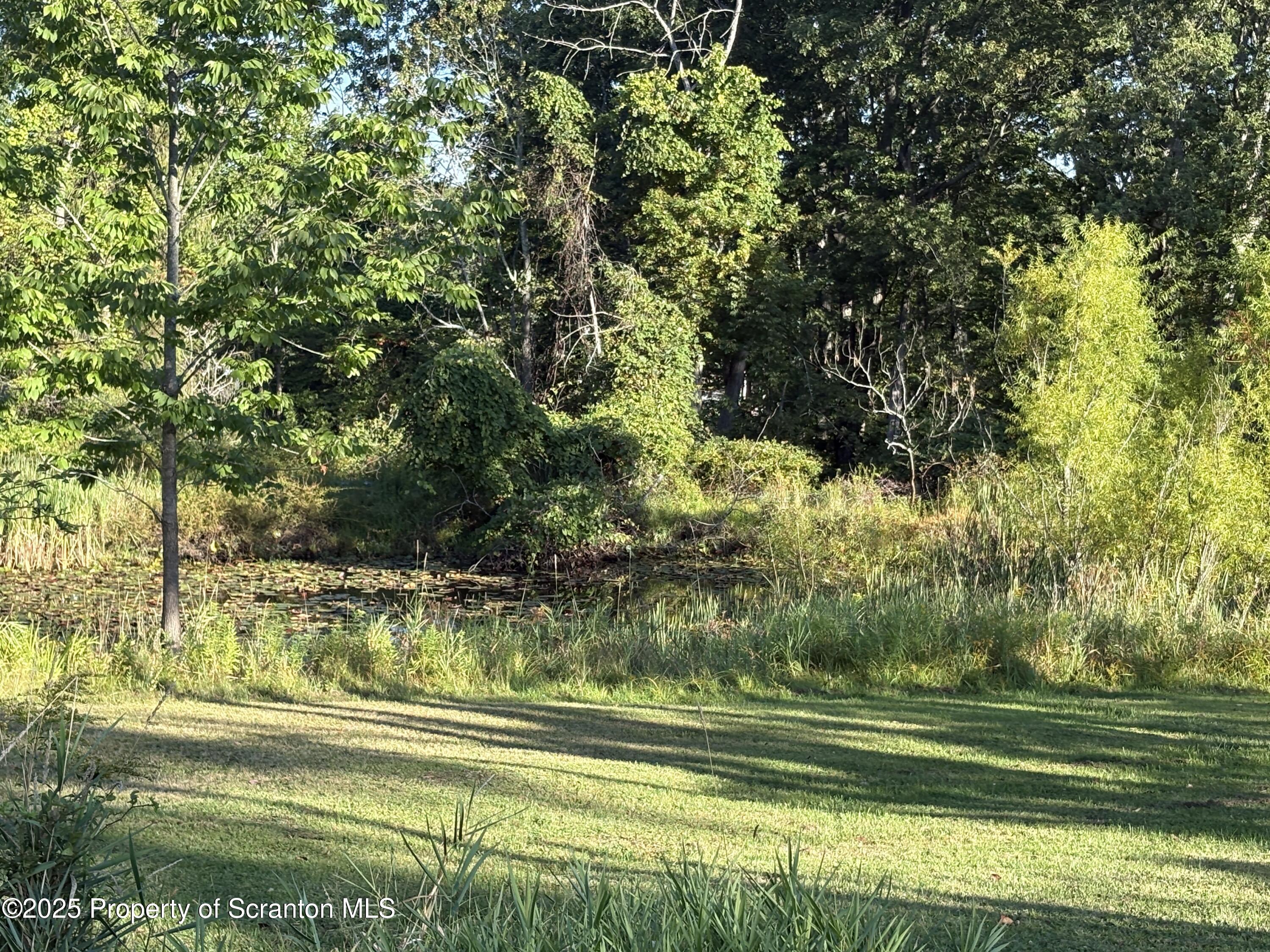 9119 Valley View Drive Clarks Summit, PA 18411 - Photo 49 of 78 IMG_2569