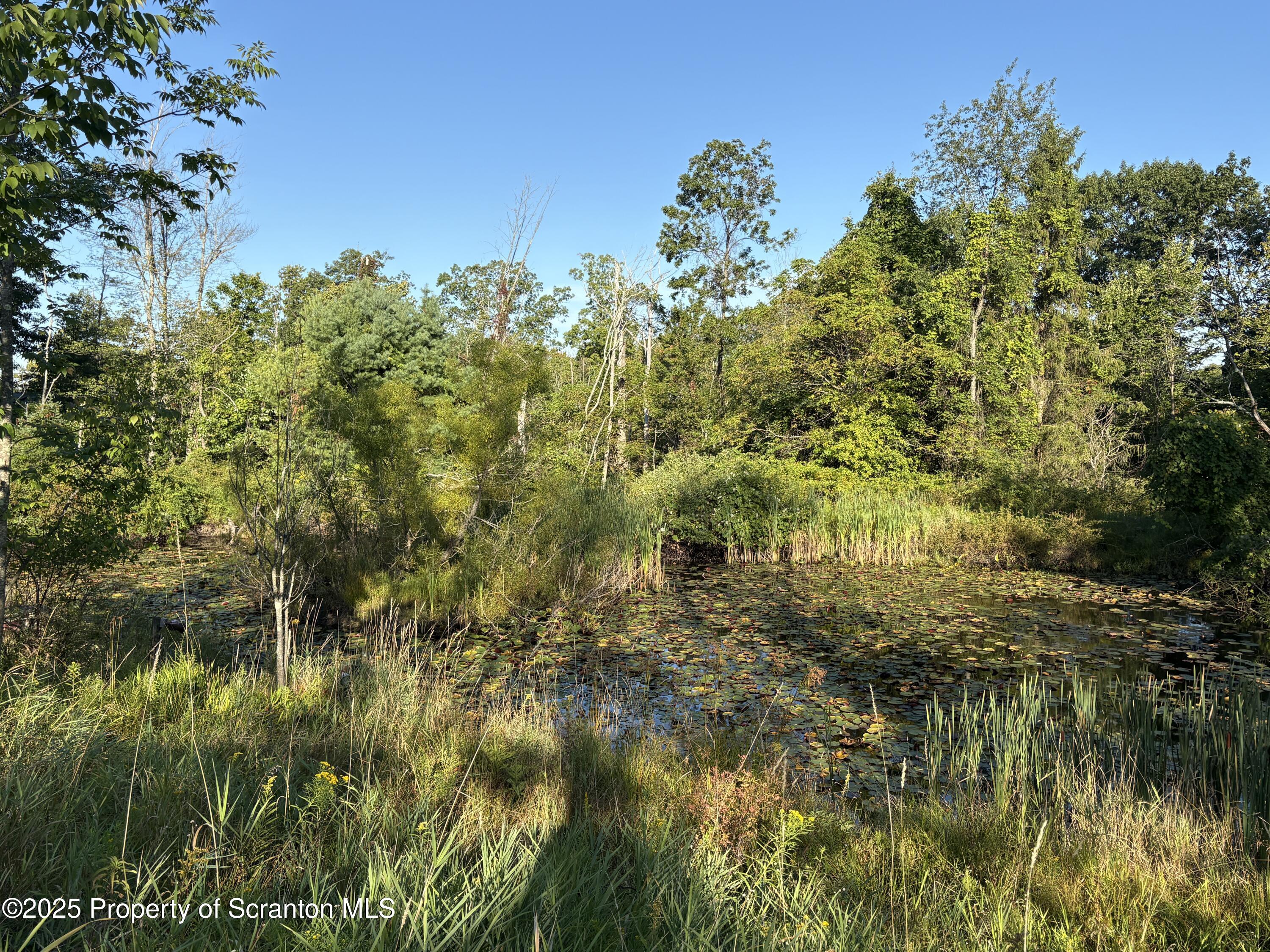 9119 Valley View Drive Clarks Summit, PA 18411 - Photo 50 of 78 POND
