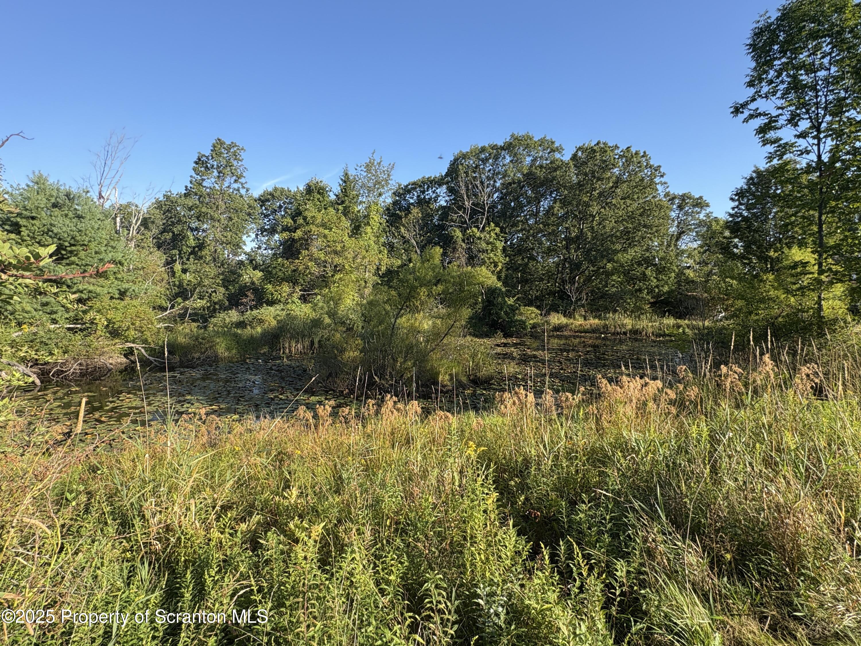 9119 Valley View Drive Clarks Summit, PA 18411 - Photo 55 of 78 a view of a lake view