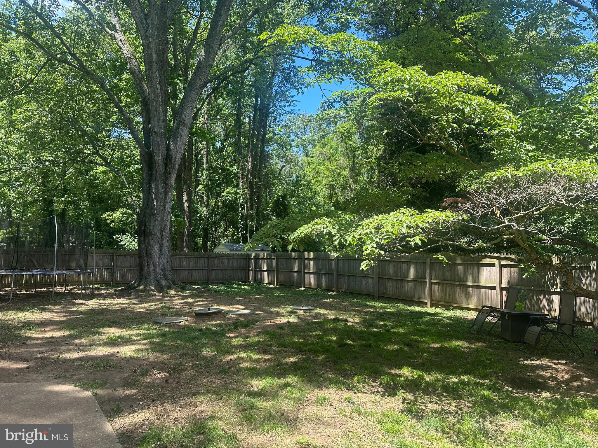 109 Wilton Road Chestertown, MD 21620 - Photo 24 of 31 a backyard of a house with lots of green space