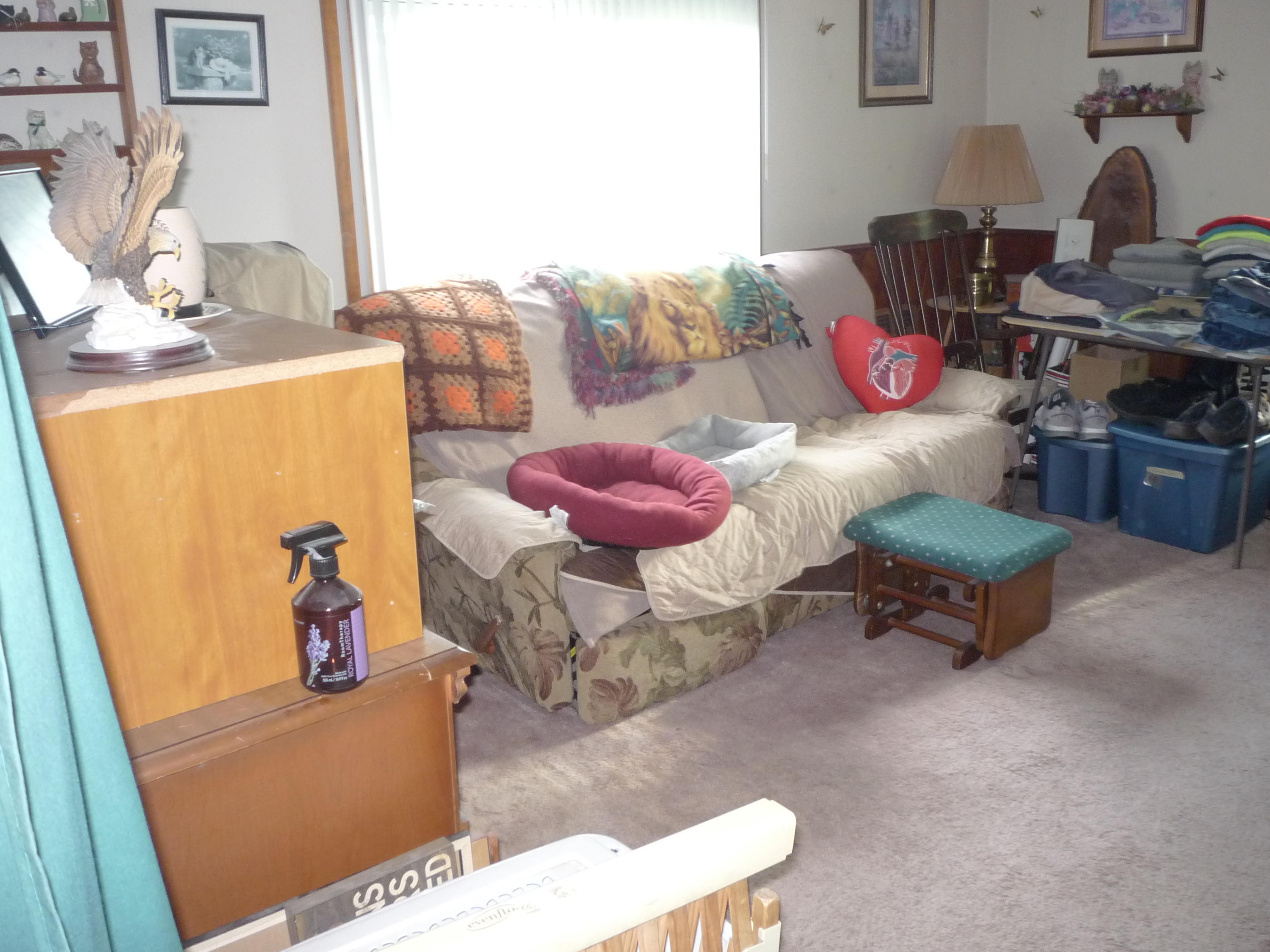 562 Kosmerick Road Bronson, MI 49028 - Photo 18 of 40 P1070115