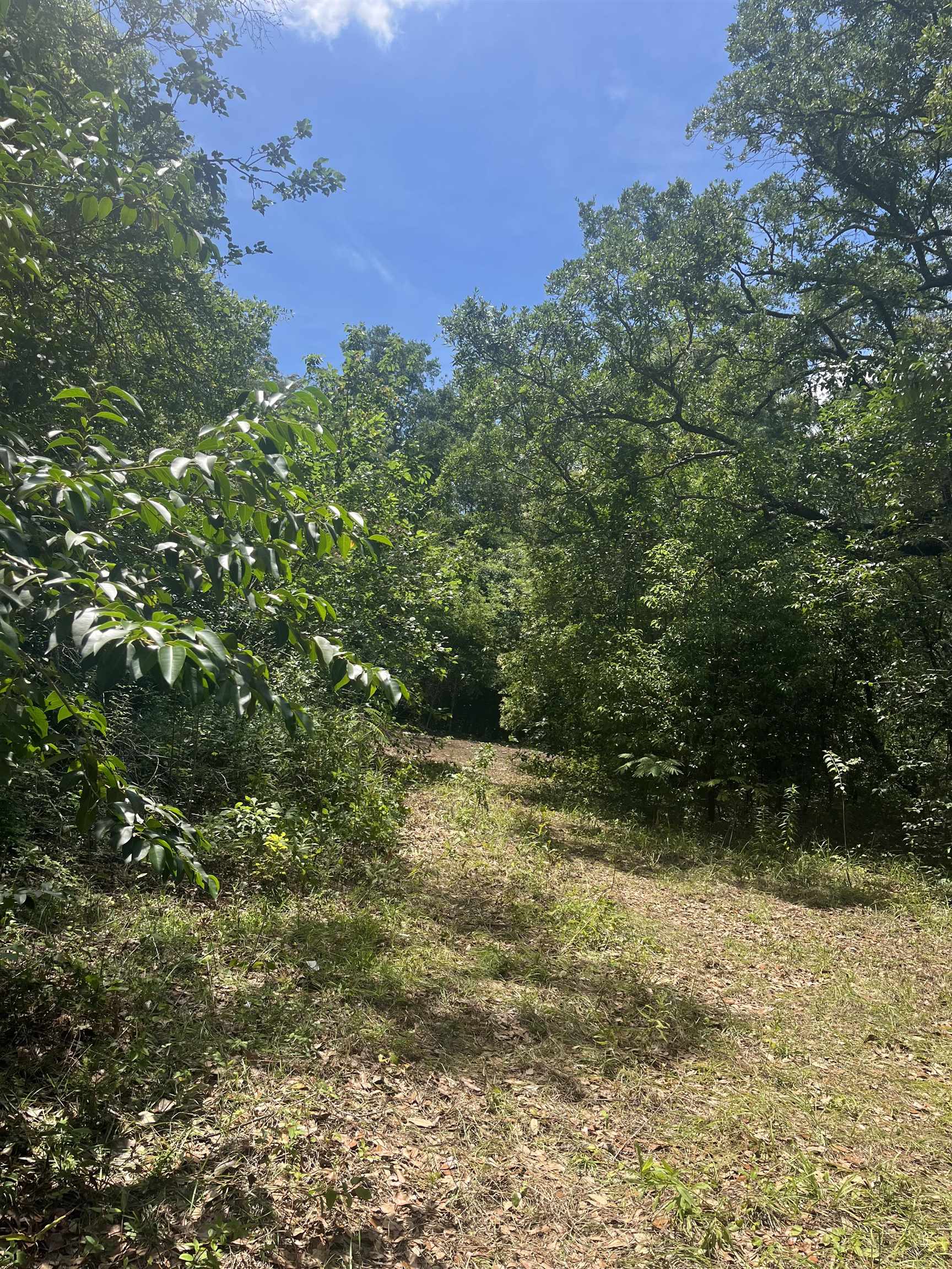 1612 Old Bainbridge Road Tallahassee, FL 32303 - Photo 1 of 9