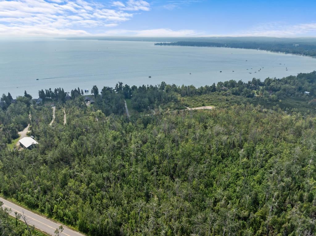 7773 McDonald Road Cheboygan, MI 49721 - Photo 45 of 52 DJI_20250813145156_0226_D