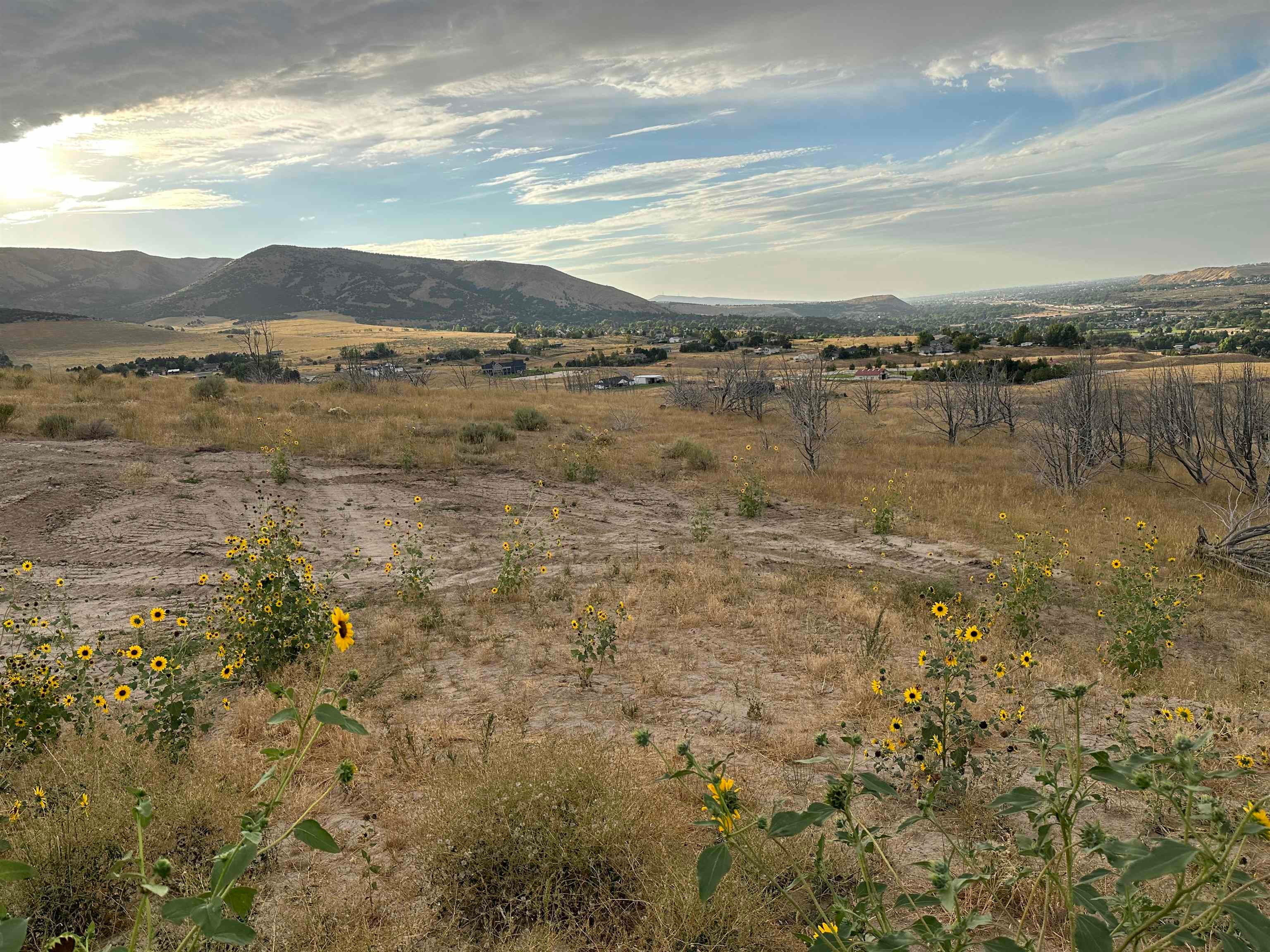 Lot 3 Ridgeview Lane Pocatello, ID 83204 - Photo 12 of 13 Gallery Image 12
