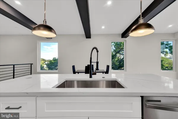 a kitchen with a sink and a potted plant