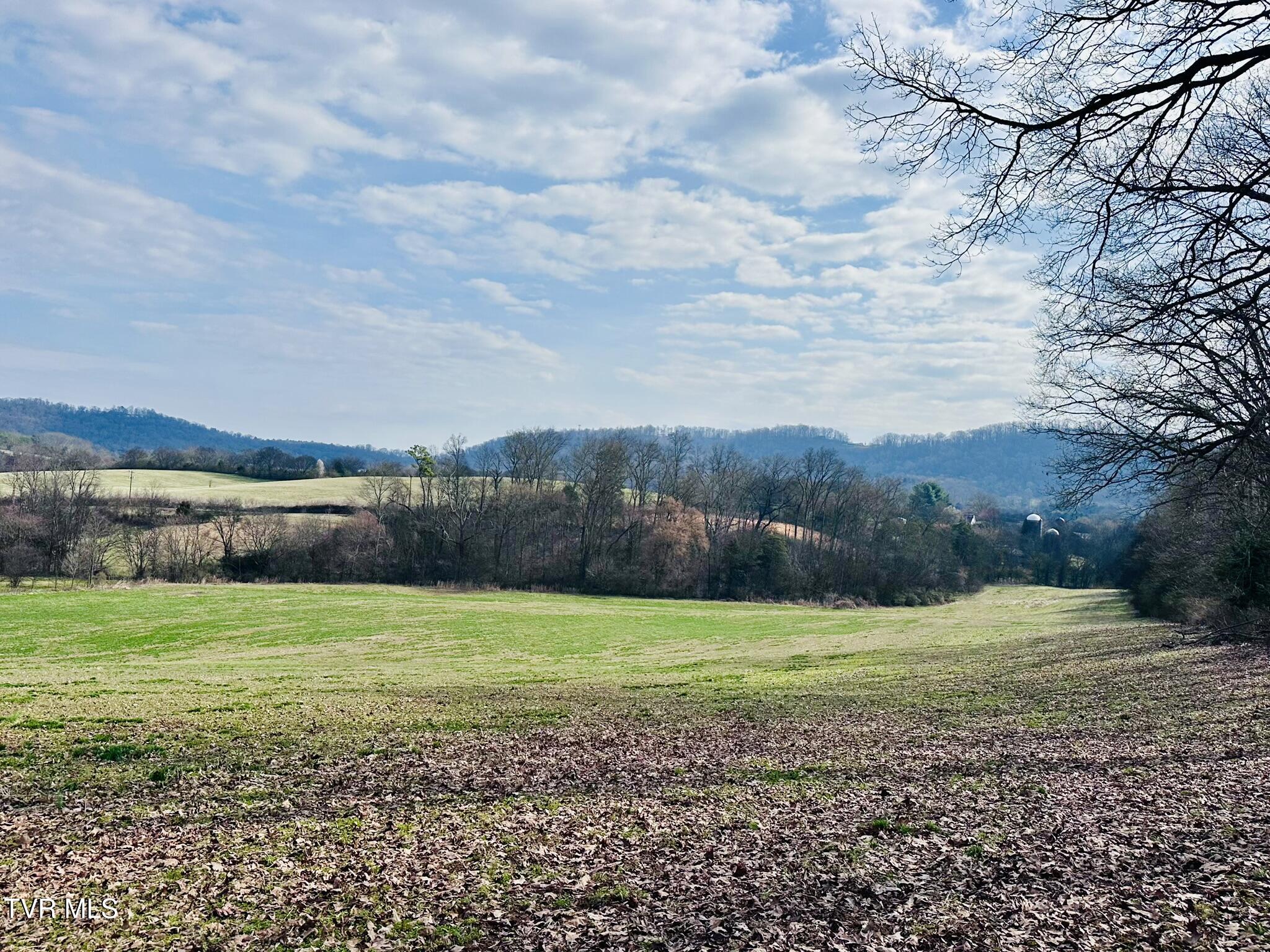 Lot 0 Mine Road New Market, TN 37820 - Photo 17 of 28 IMG_1981
