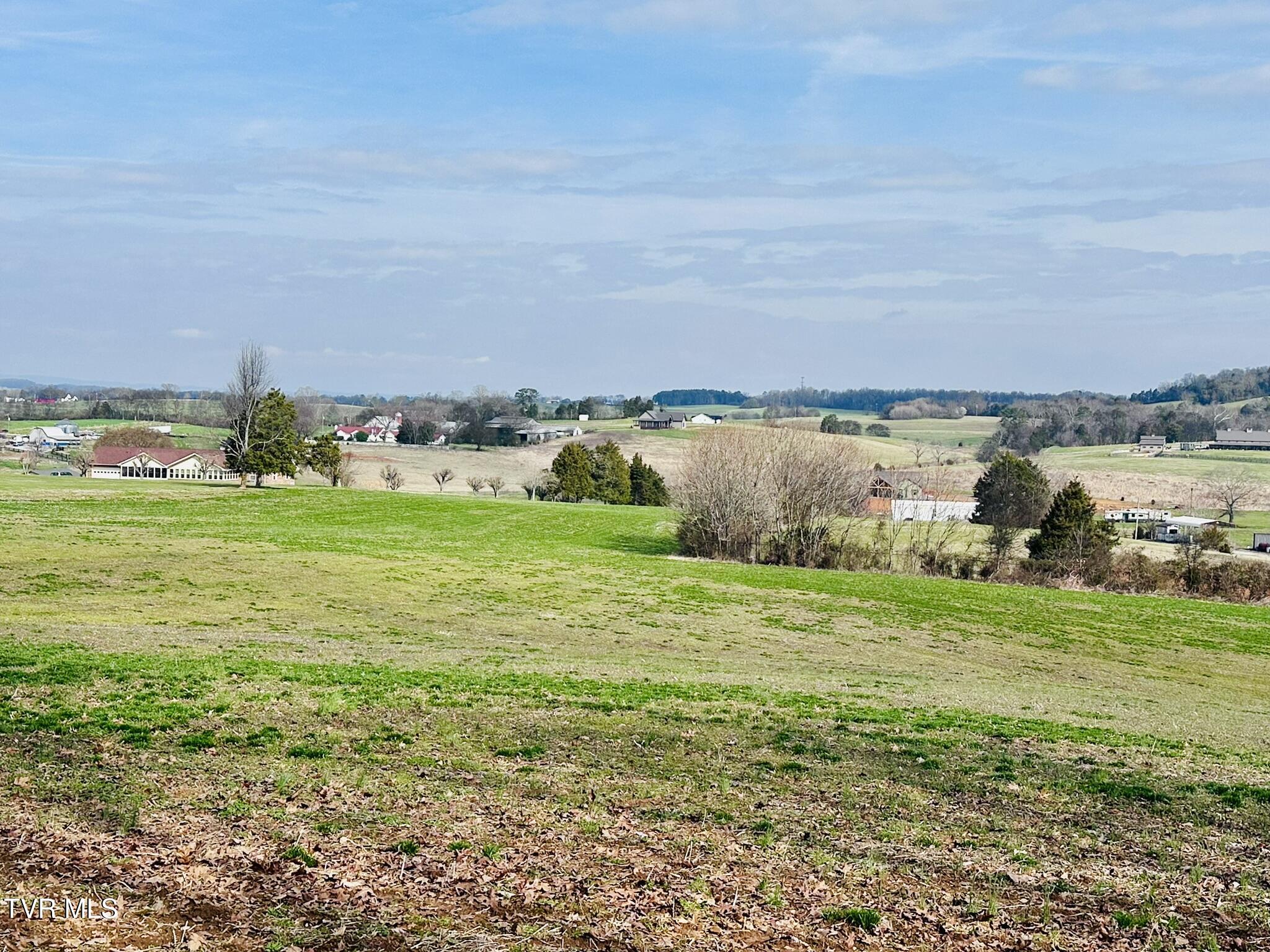 Lot 0 Mine Road New Market, TN 37820 - Photo 20 of 28 IMG_1984