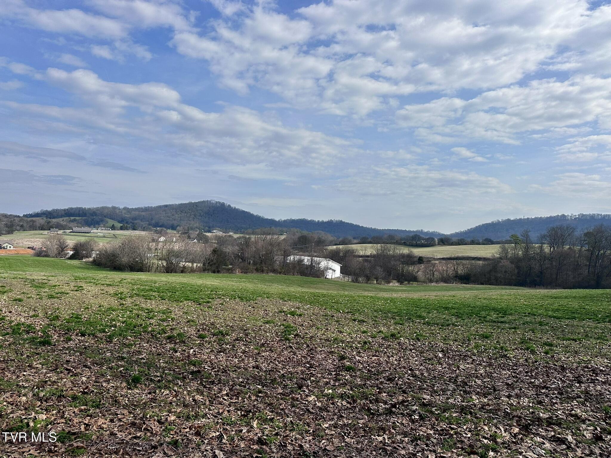 Lot 0 Mine Road New Market, TN 37820 - Photo 5 of 28 IMG_1968