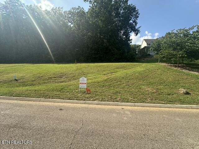 image1 (6)