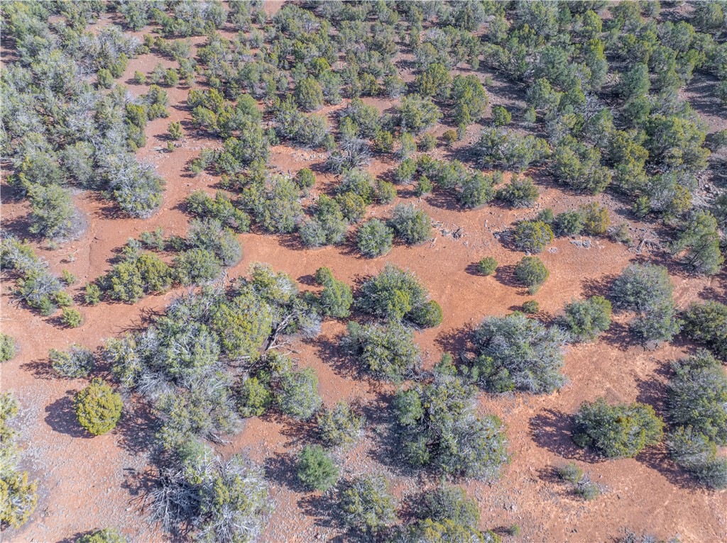 34745 West Running Shadow Road Seligman, AZ 86337 - Photo 22 of 52