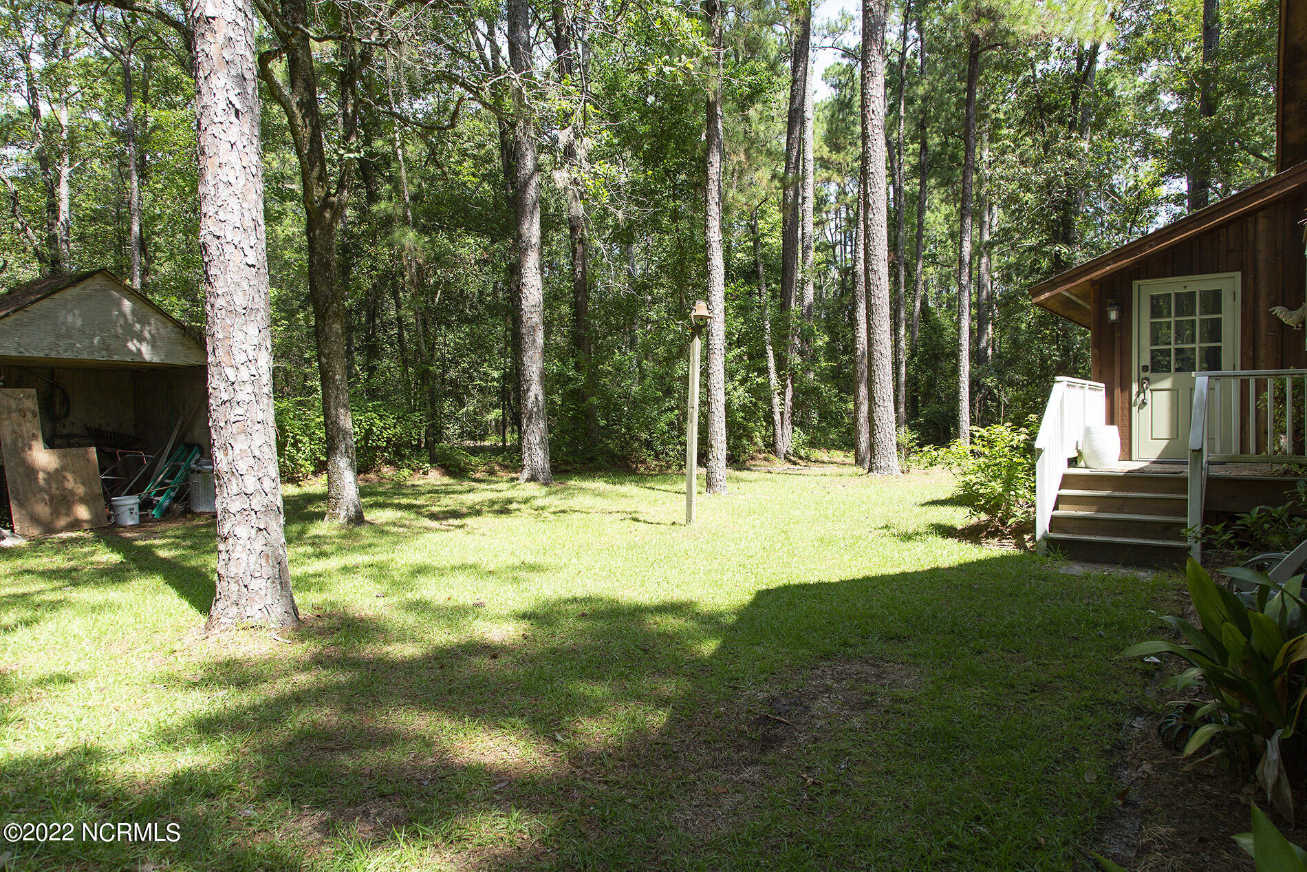 4004 Borough Road Currie, NC 28435 - Photo 43 of 65 Borough-4004-backyard-Shane.SamL33A5422