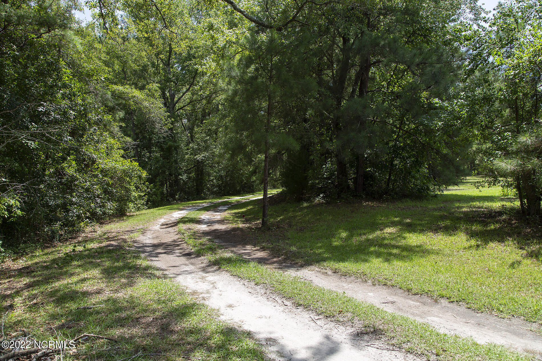 4004 Borough Road Currie, NC 28435 - Photo 53 of 65 Borough-4004-drive-Shane.SamL33A5534