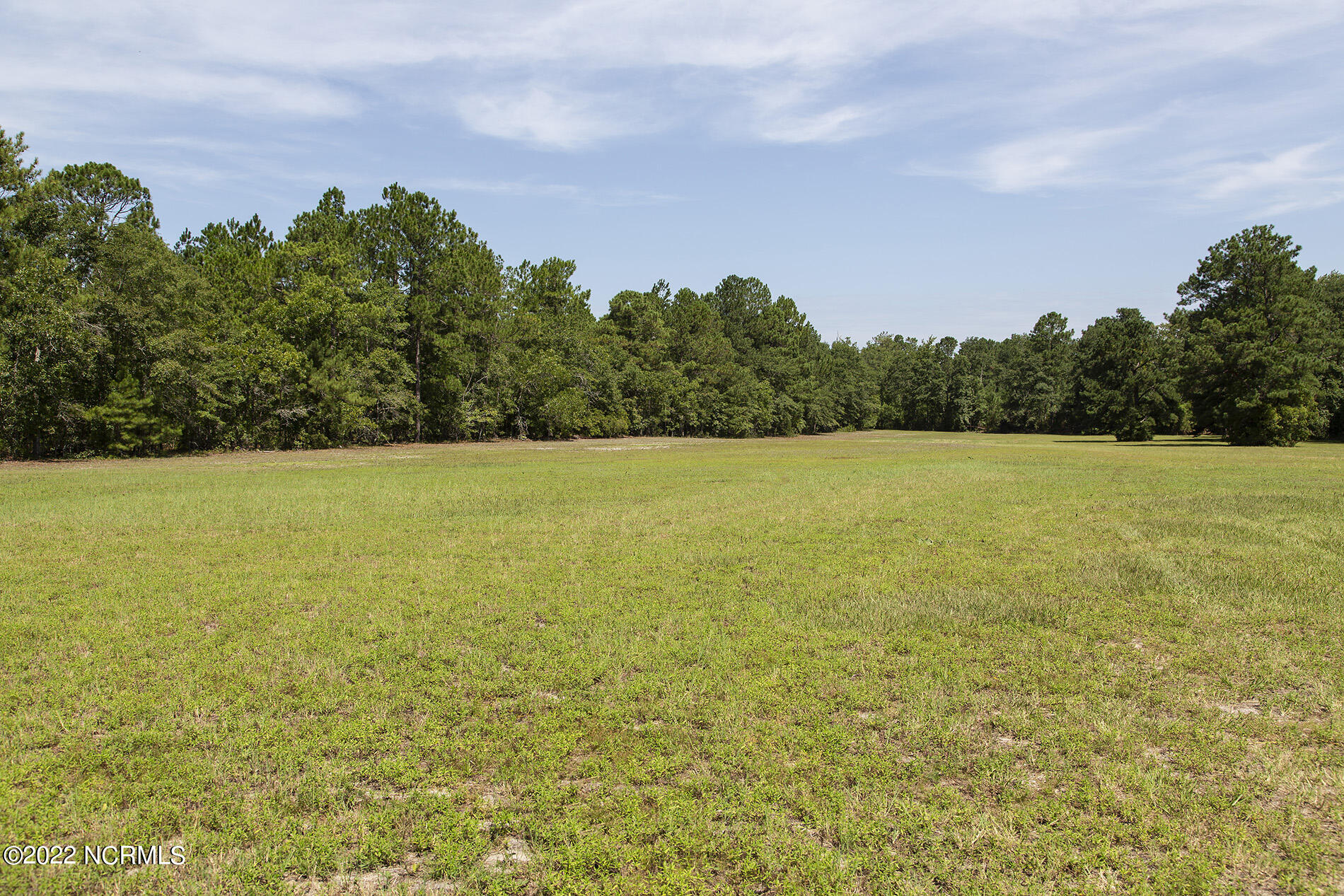 4004 Borough Road Currie, NC 28435 - Photo 56 of 65 Borough-4004-field-Shane.SamL33A5445