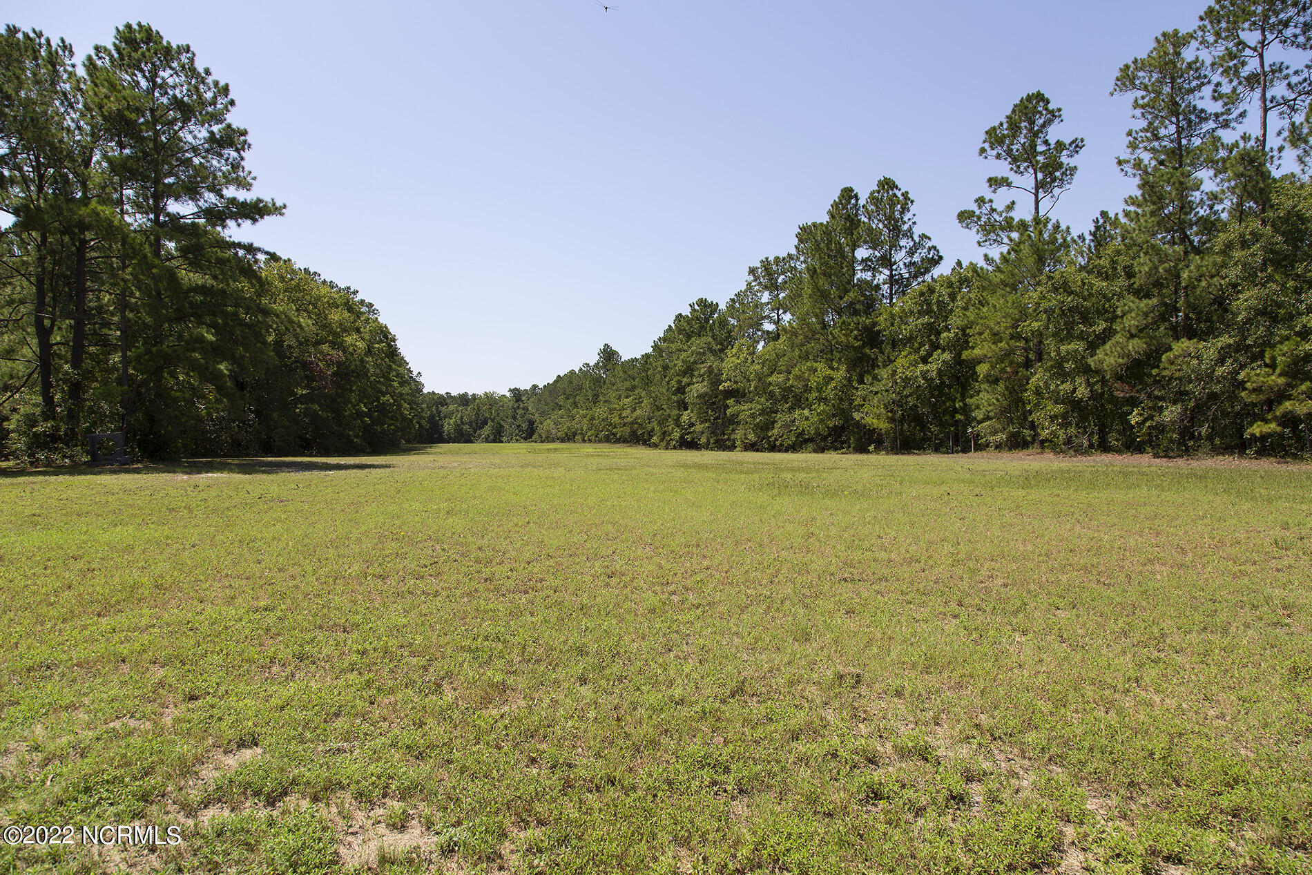 4004 Borough Road Currie, NC 28435 - Photo 57 of 65 Borough-4004-field-Shane.SamL33A5449