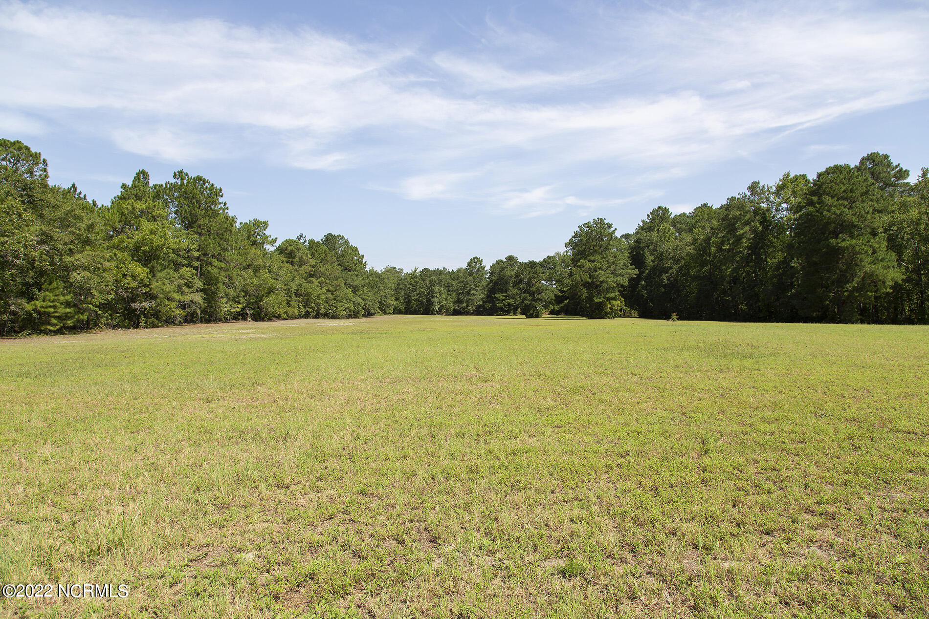 4004 Borough Road Currie, NC 28435 - Photo 58 of 65 Borough-4004-field-Shane.SamL33A5455