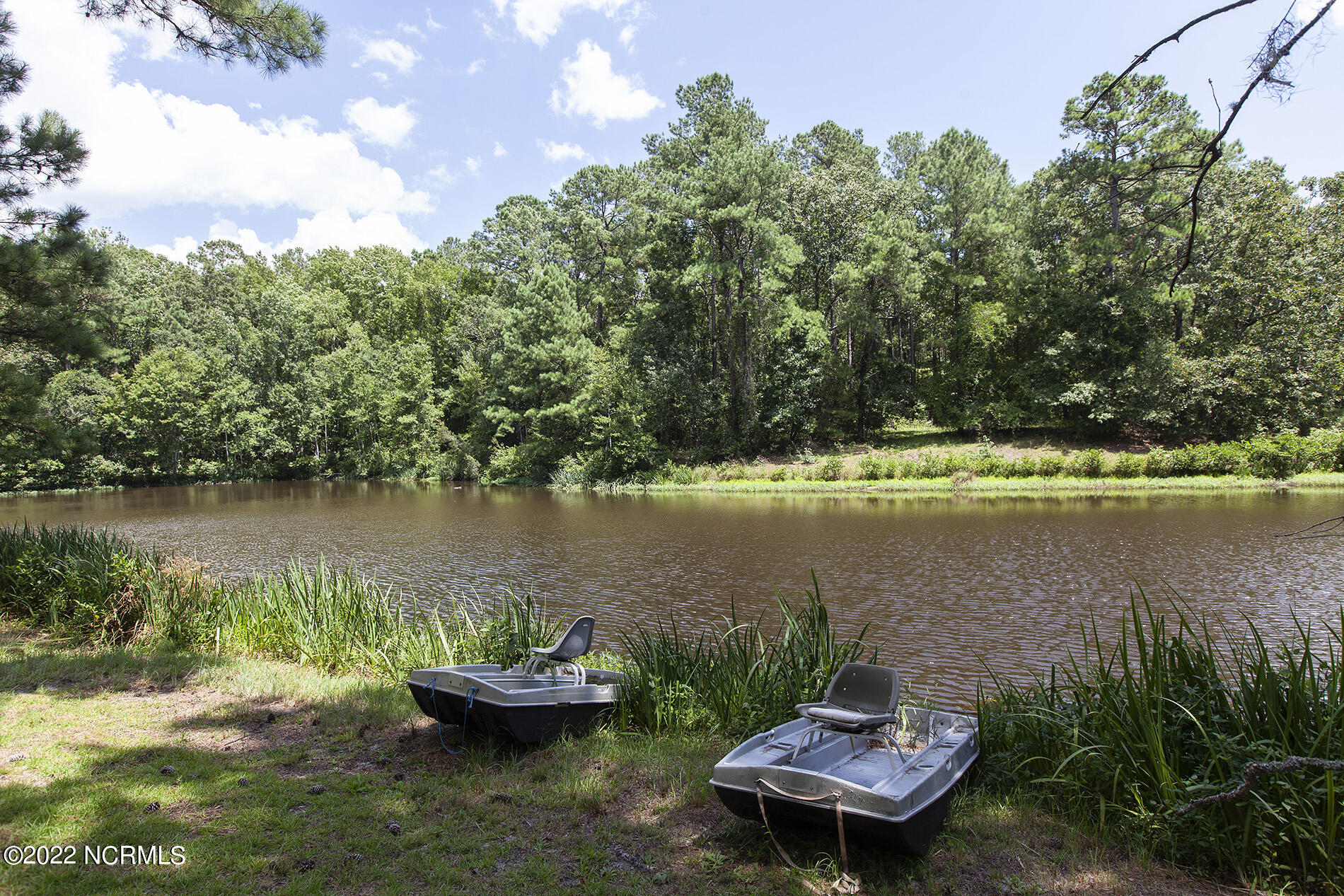 4004 Borough Road Currie, NC 28435 - Photo 61 of 65 Borough-4004-pond-Shane.Sam_4001