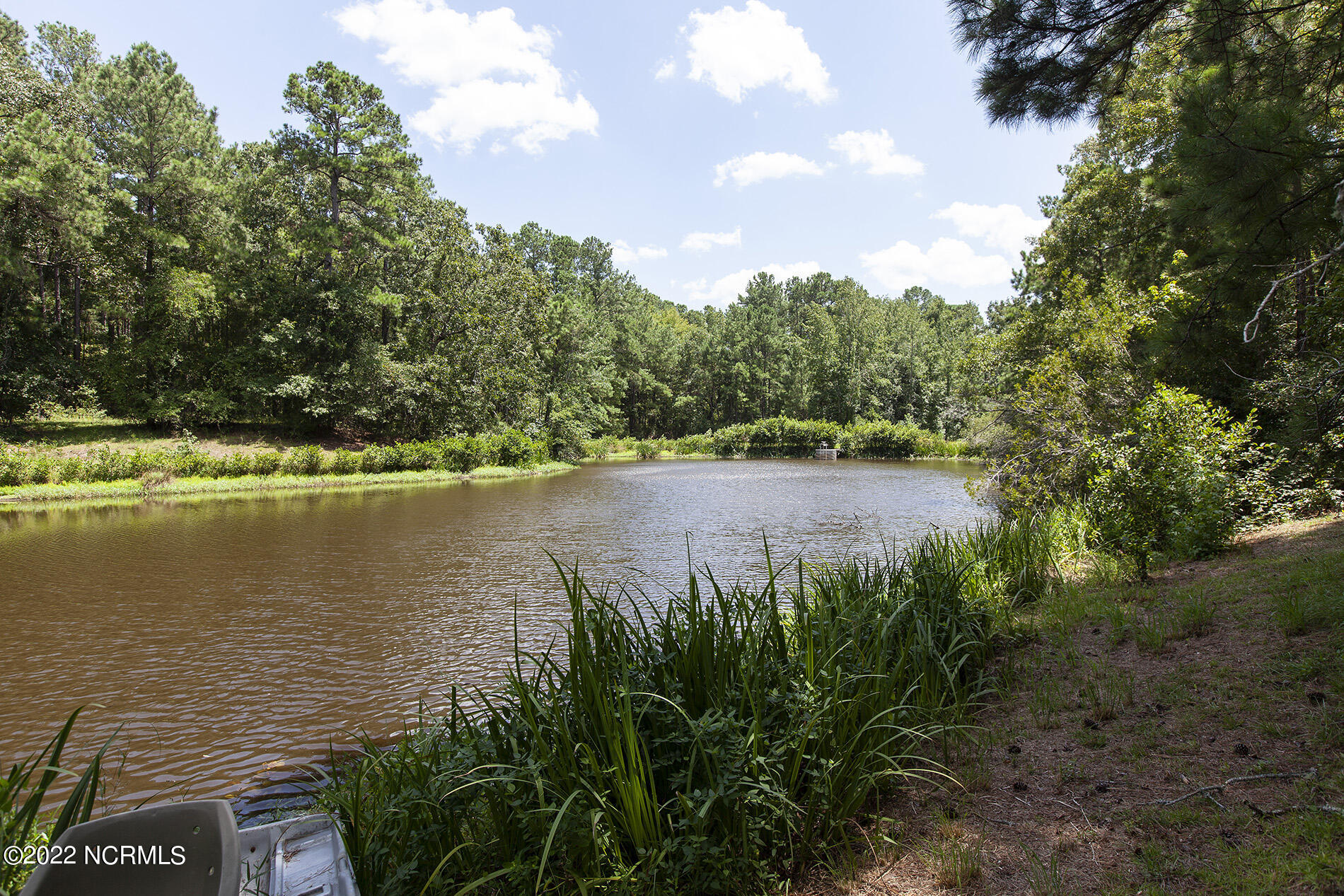 4004 Borough Road Currie, NC 28435 - Photo 62 of 65 Borough-4004-pond-Shane.Sam_4009