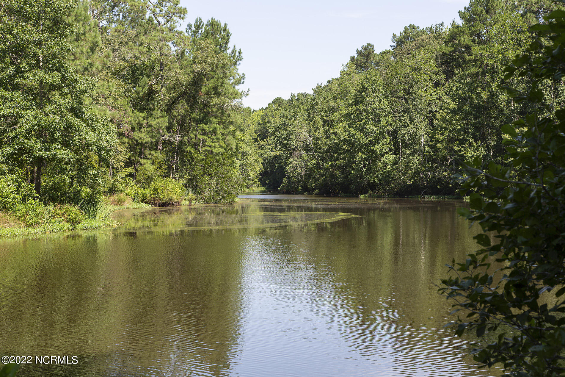 4004 Borough Road Currie, NC 28435 - Photo 64 of 65 Borough-4004-pond-Shane.SamL33A5404