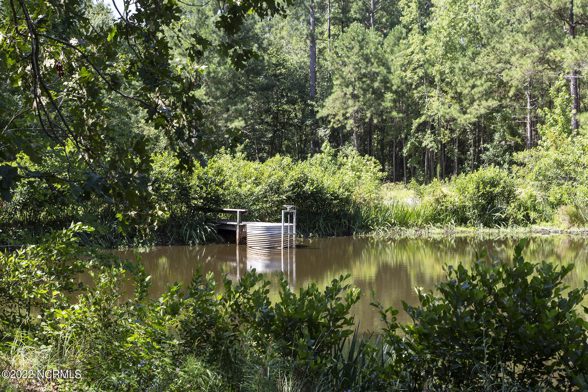 4004 Borough Road Currie, NC 28435 - Photo 65 of 65 Borough-4004-pond-Shane.SamL33A5408