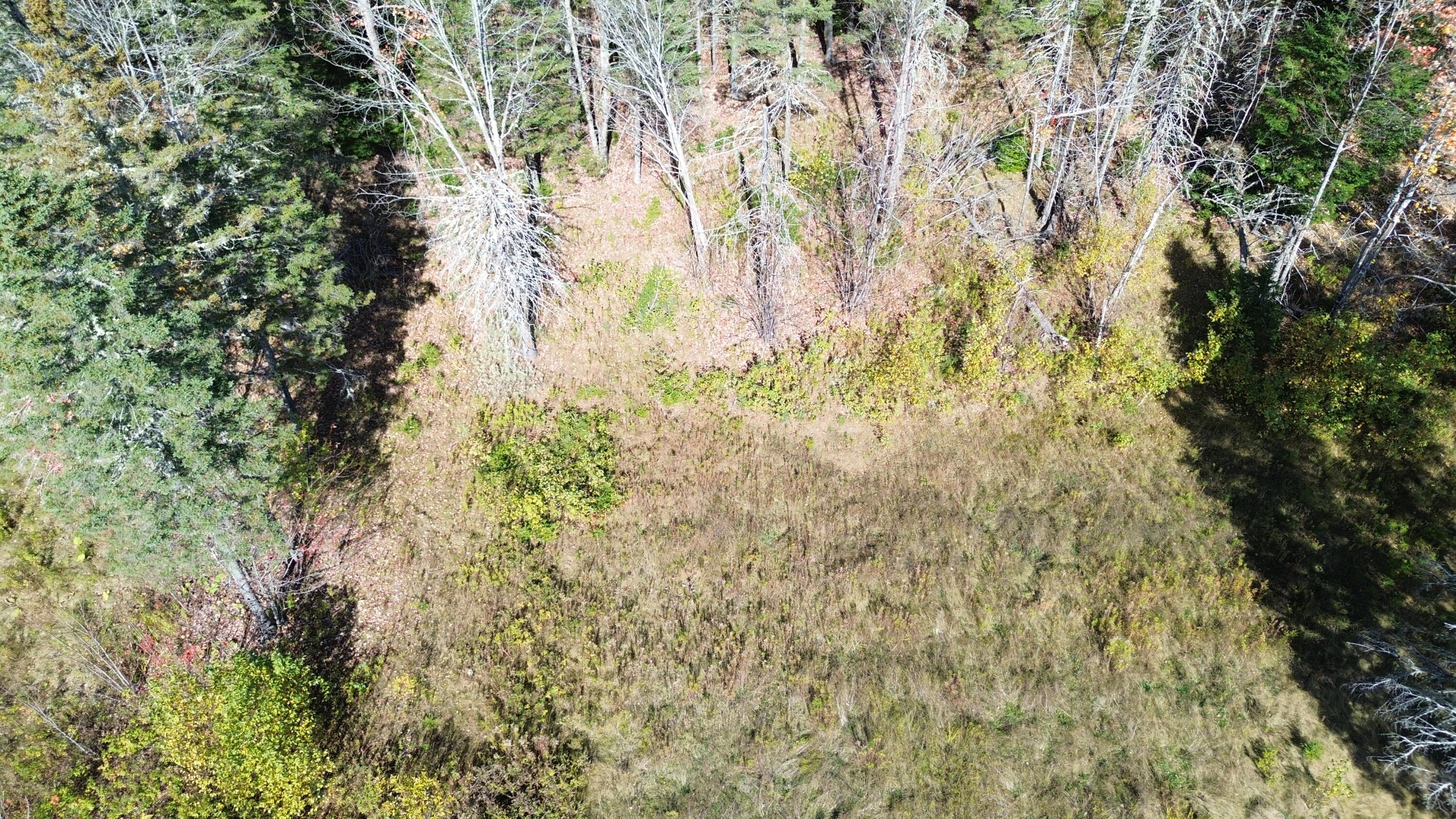 350 Currie Road Smyrna, ME 04780 - Photo 11 of 35 DJI_0527