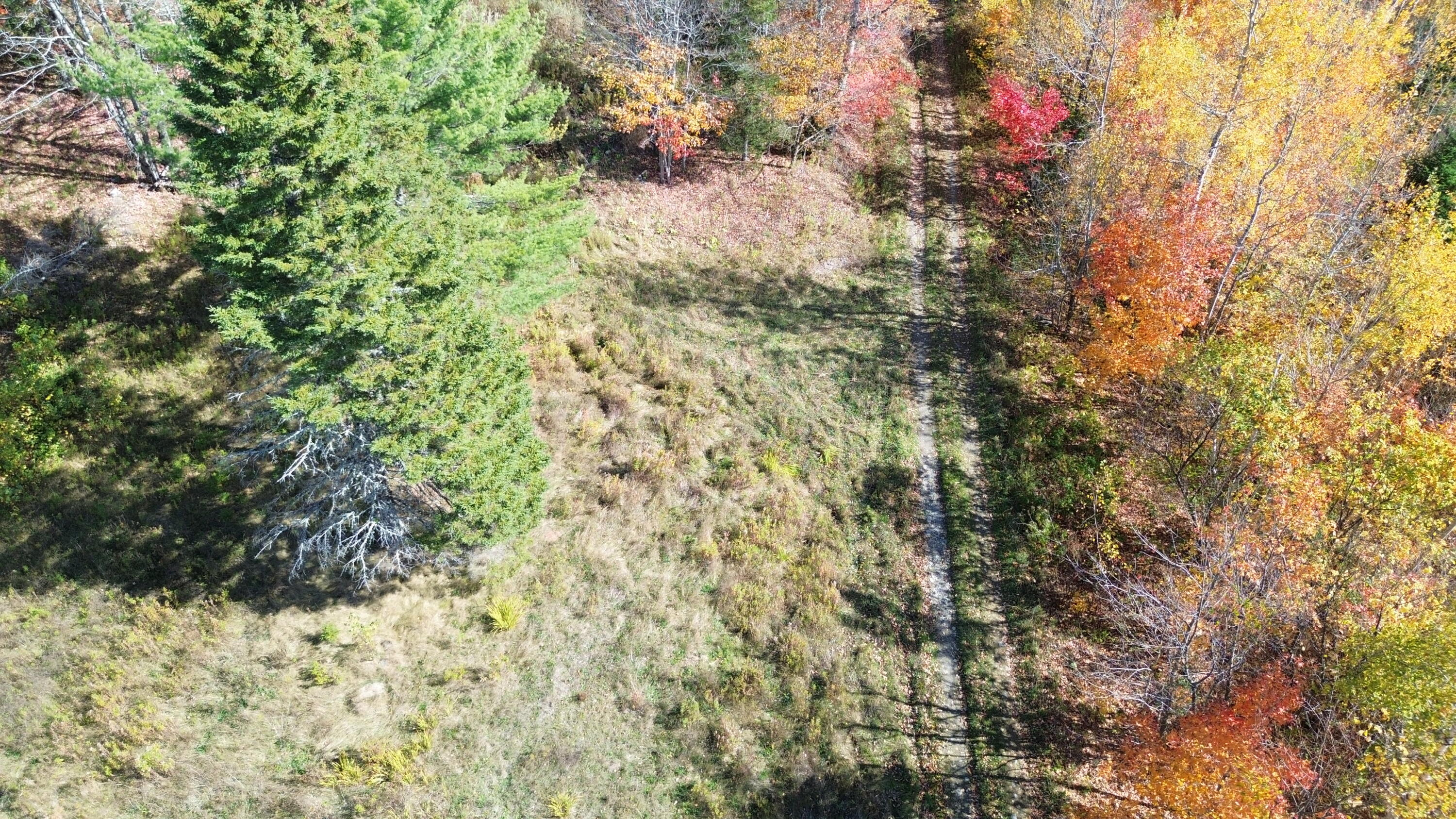 350 Currie Road Smyrna, ME 04780 - Photo 12 of 35 DJI_0528