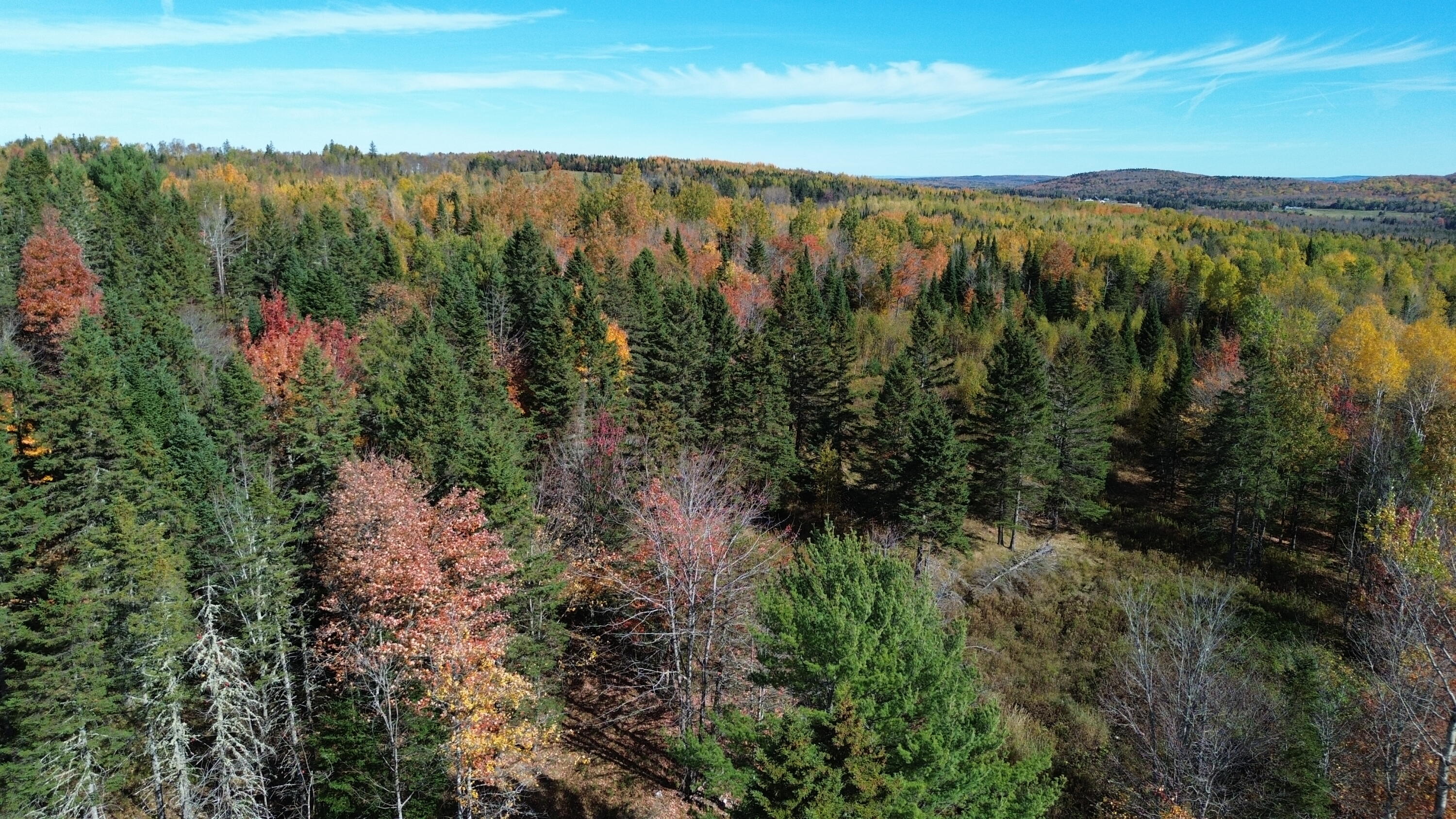 350 Currie Road Smyrna, ME 04780 - Photo 13 of 35 DJI_0529