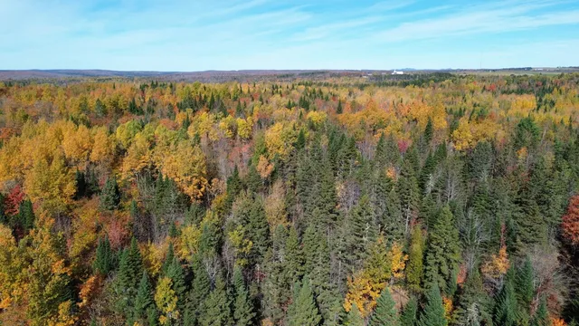 $119,900 | 350 Currie Road, Smyrna, ME 04780