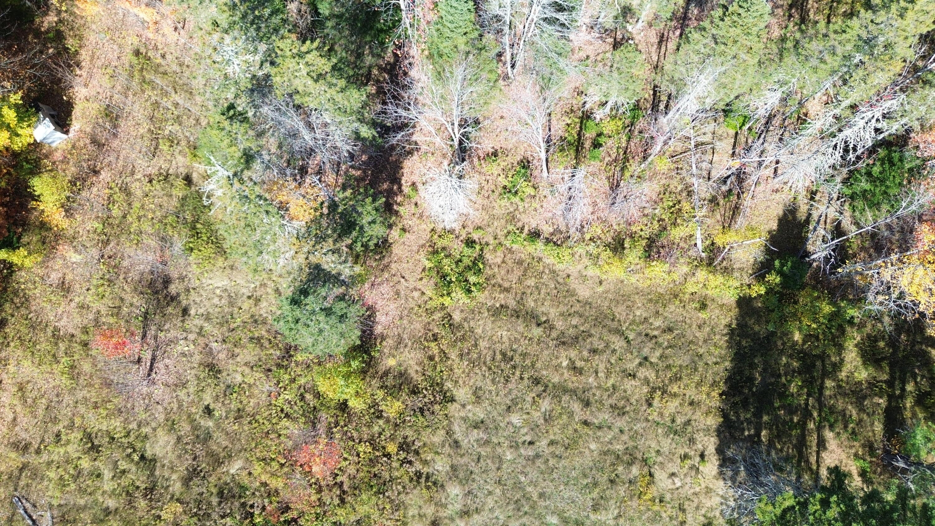 350 Currie Road Smyrna, ME 04780 - Photo 16 of 35 DJI_0532