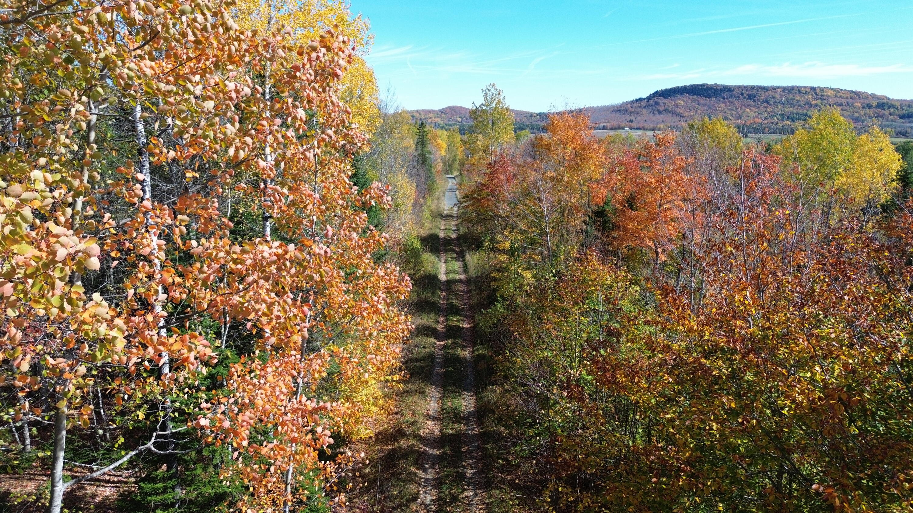 350 Currie Road Smyrna, ME 04780 - Photo 18 of 35 DJI_0548