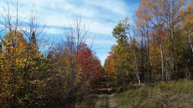 $119,900 | 350 Currie Road, Smyrna, ME 04780