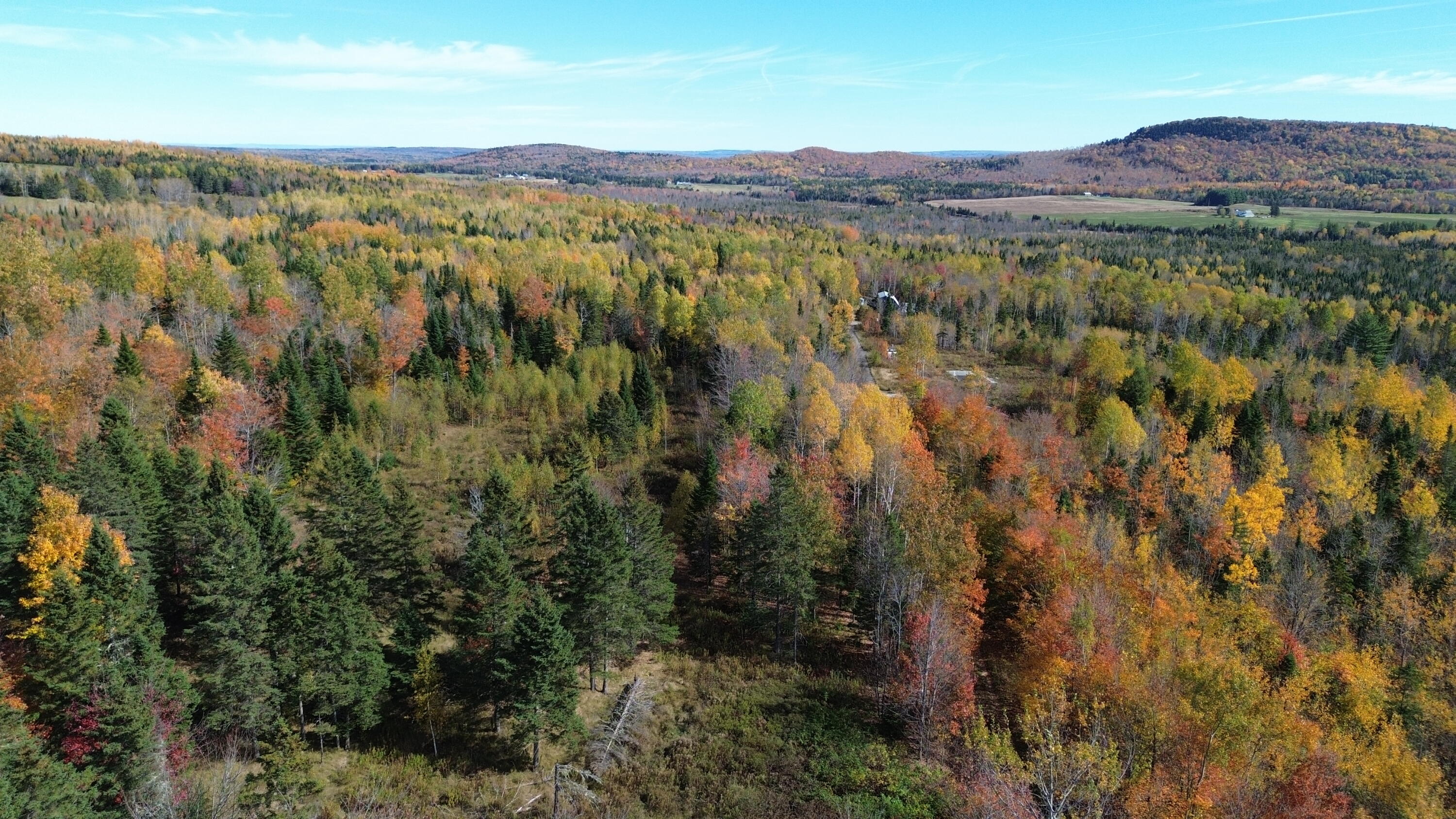 350 Currie Road Smyrna, ME 04780 - Photo 24 of 35 DJI_0560