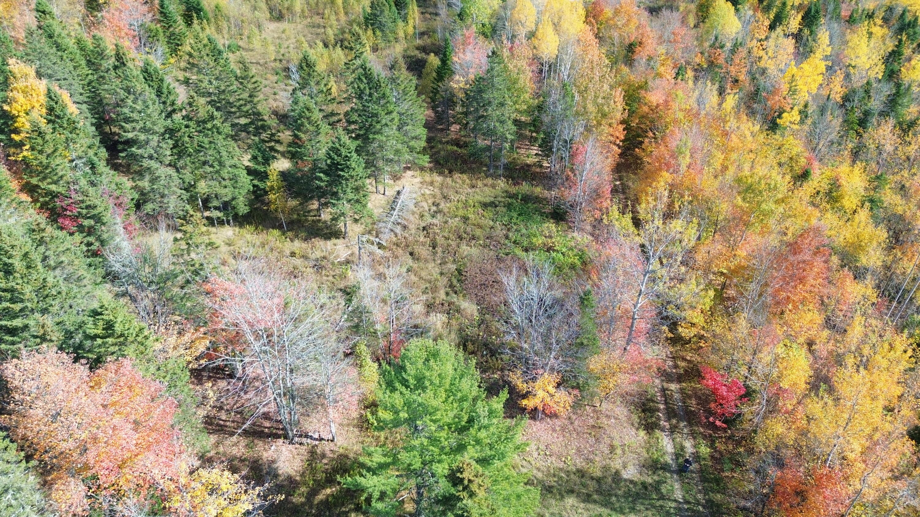 350 Currie Road Smyrna, ME 04780 - Photo 25 of 35 DJI_0561