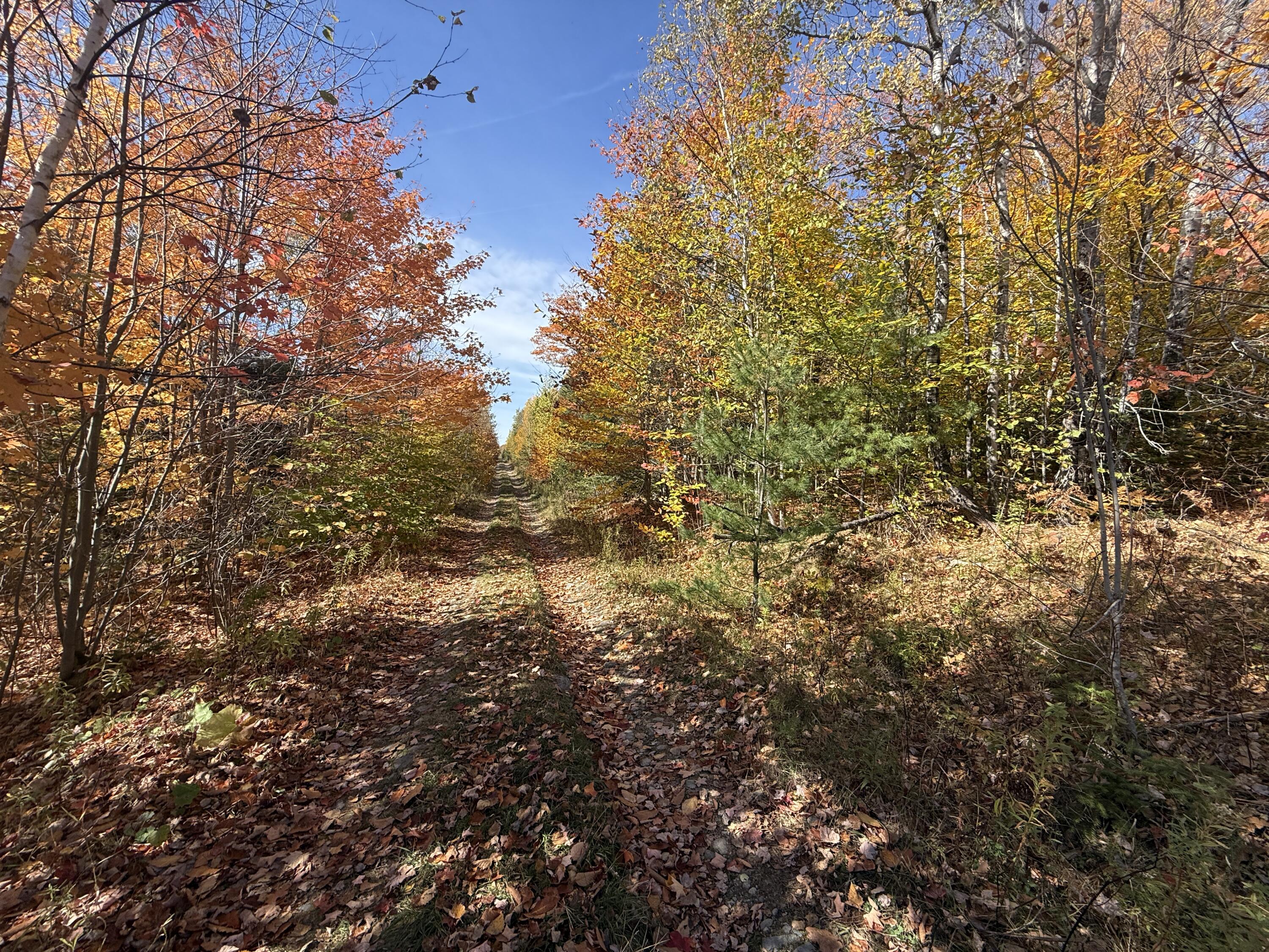 350 Currie Road Smyrna, ME 04780 - Photo 26 of 35 IMG_2538