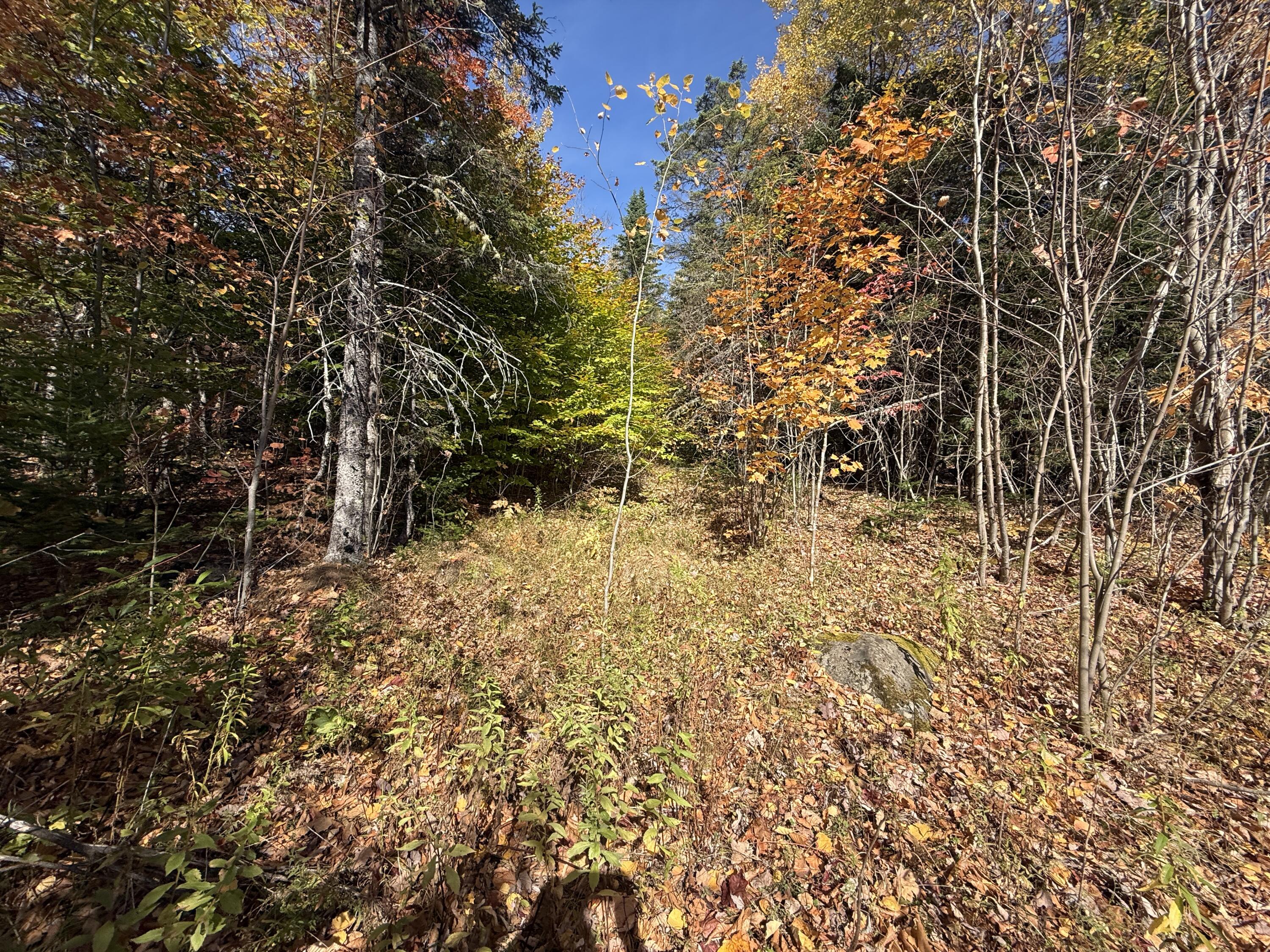 350 Currie Road Smyrna, ME 04780 - Photo 27 of 35 IMG_2537