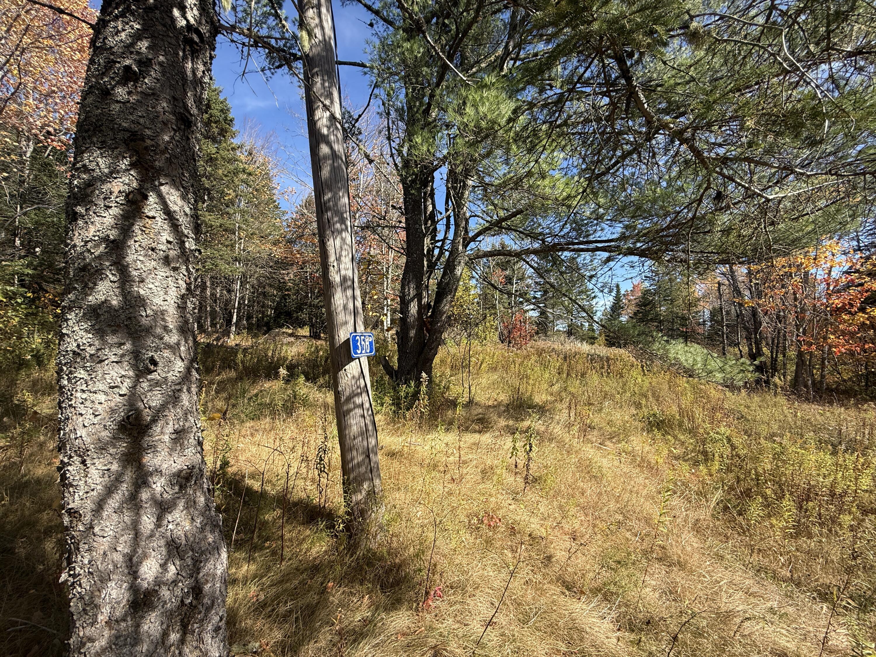 350 Currie Road Smyrna, ME 04780 - Photo 28 of 35 IMG_2535