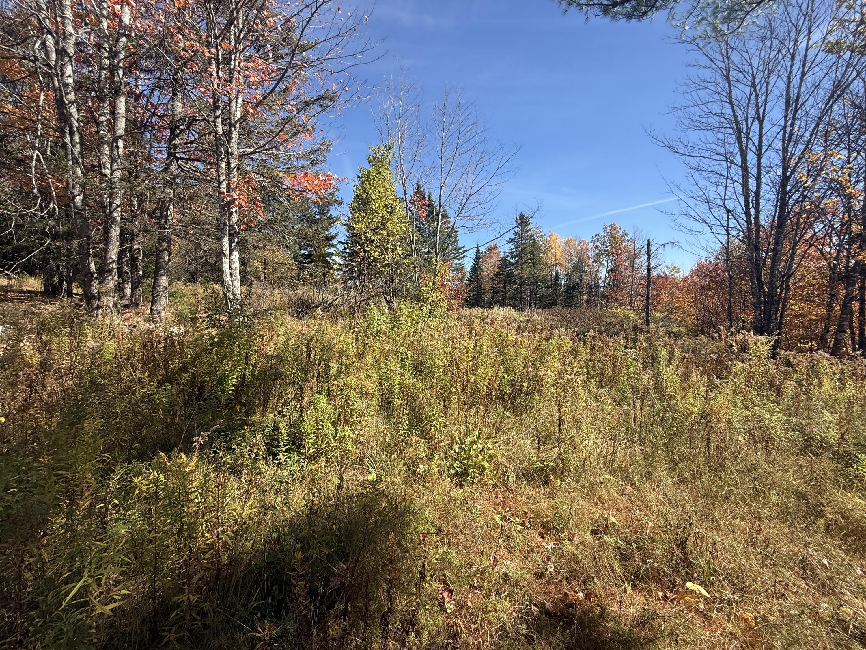 350 Currie Road Smyrna, ME 04780 - Photo 30 of 35 IMG_2526