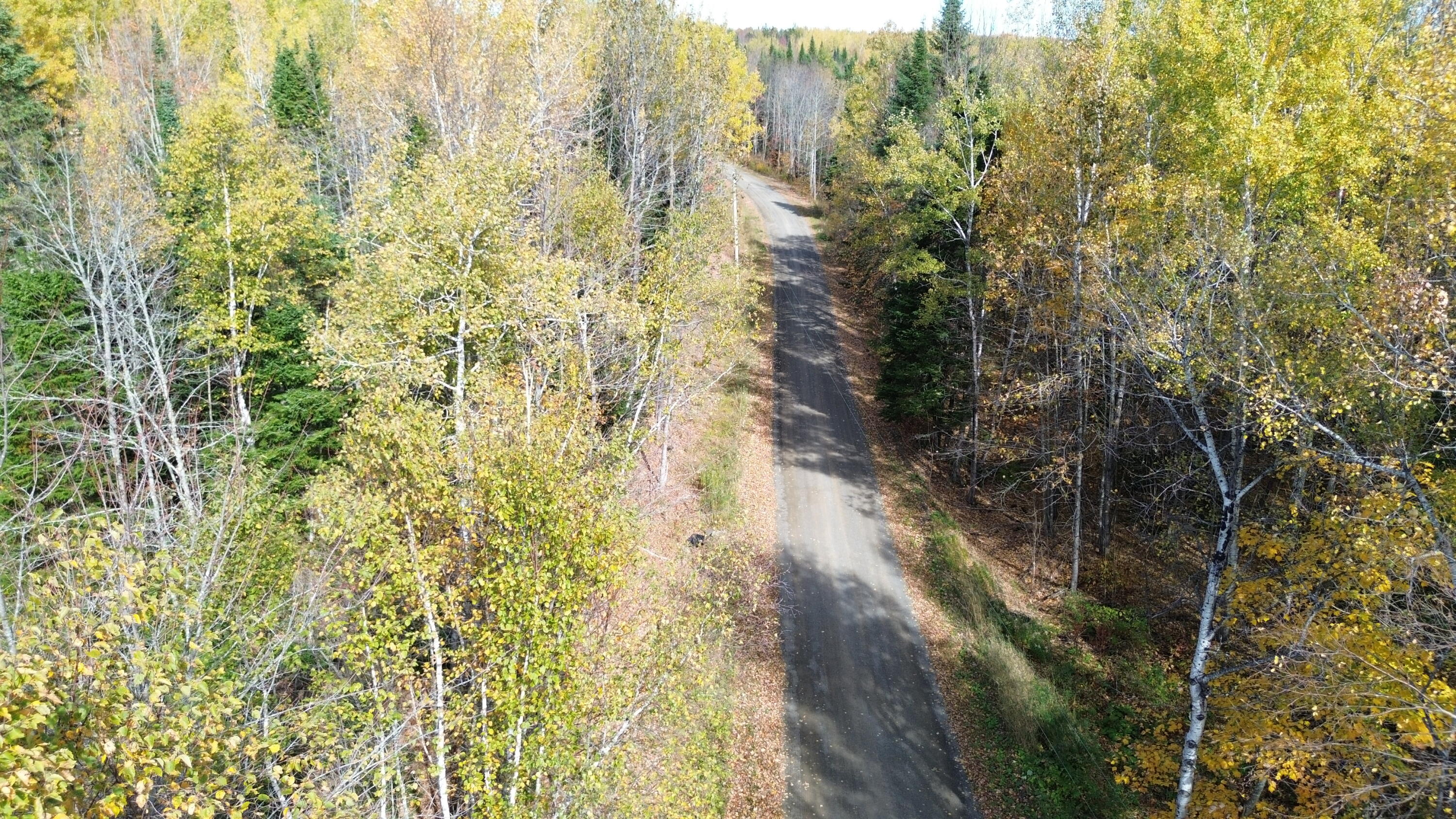 350 Currie Road Smyrna, ME 04780 - Photo 3 of 35 DJI_0567