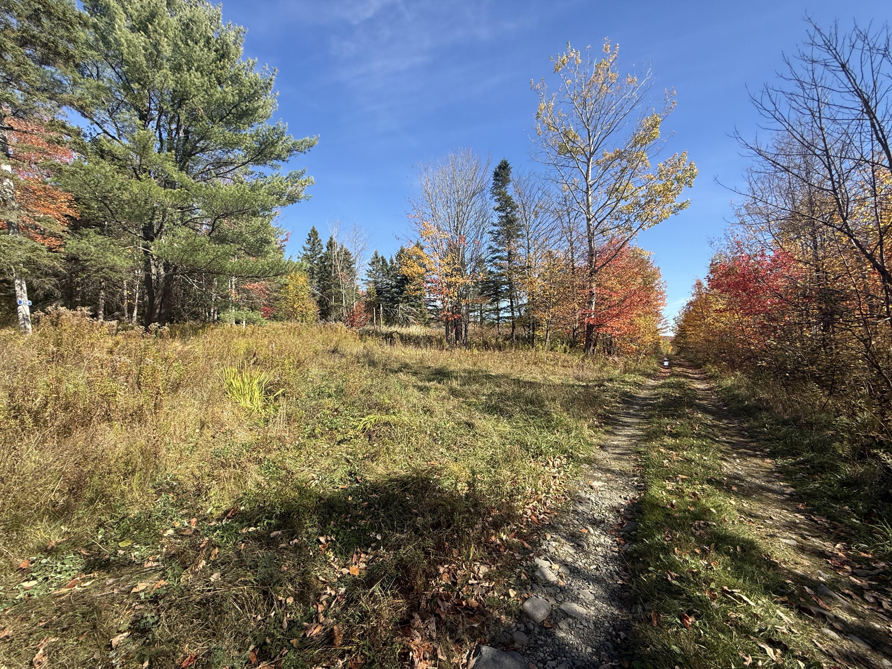 350 Currie Road Smyrna, ME 04780 - Photo 31 of 35 IMG_2522