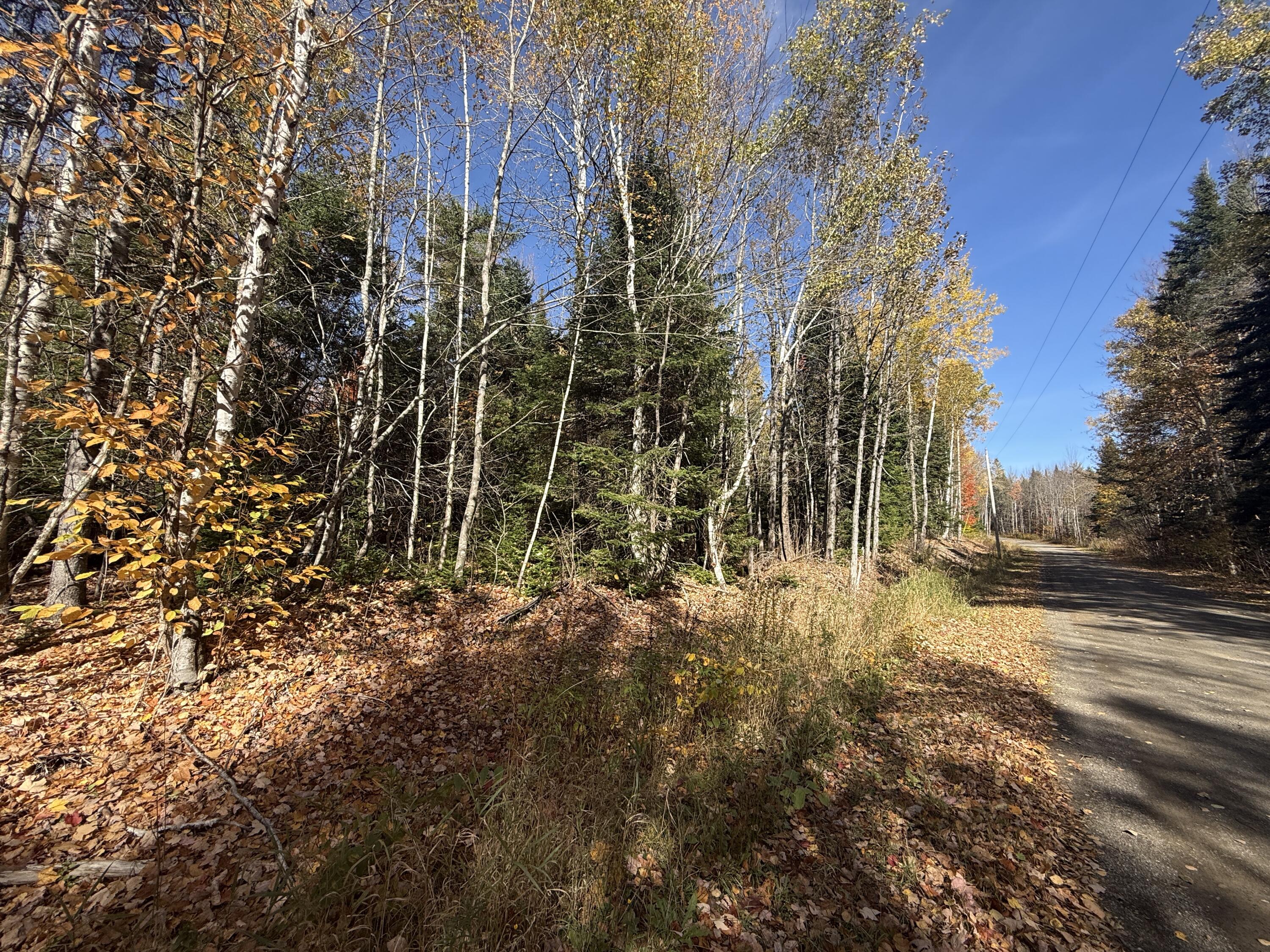 350 Currie Road Smyrna, ME 04780 - Photo 33 of 35 IMG_2516