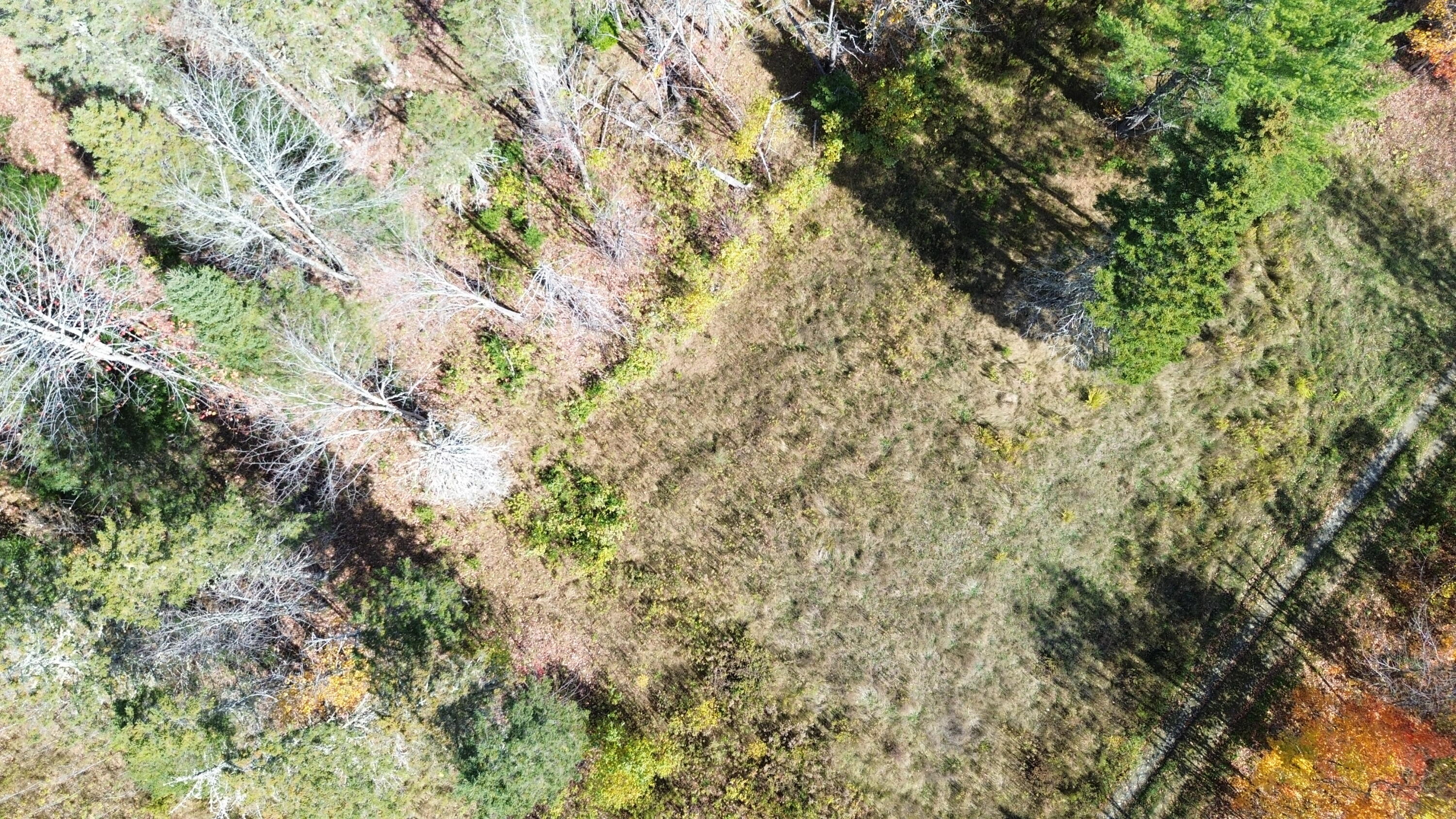 350 Currie Road Smyrna, ME 04780 - Photo 4 of 35 DJI_0533