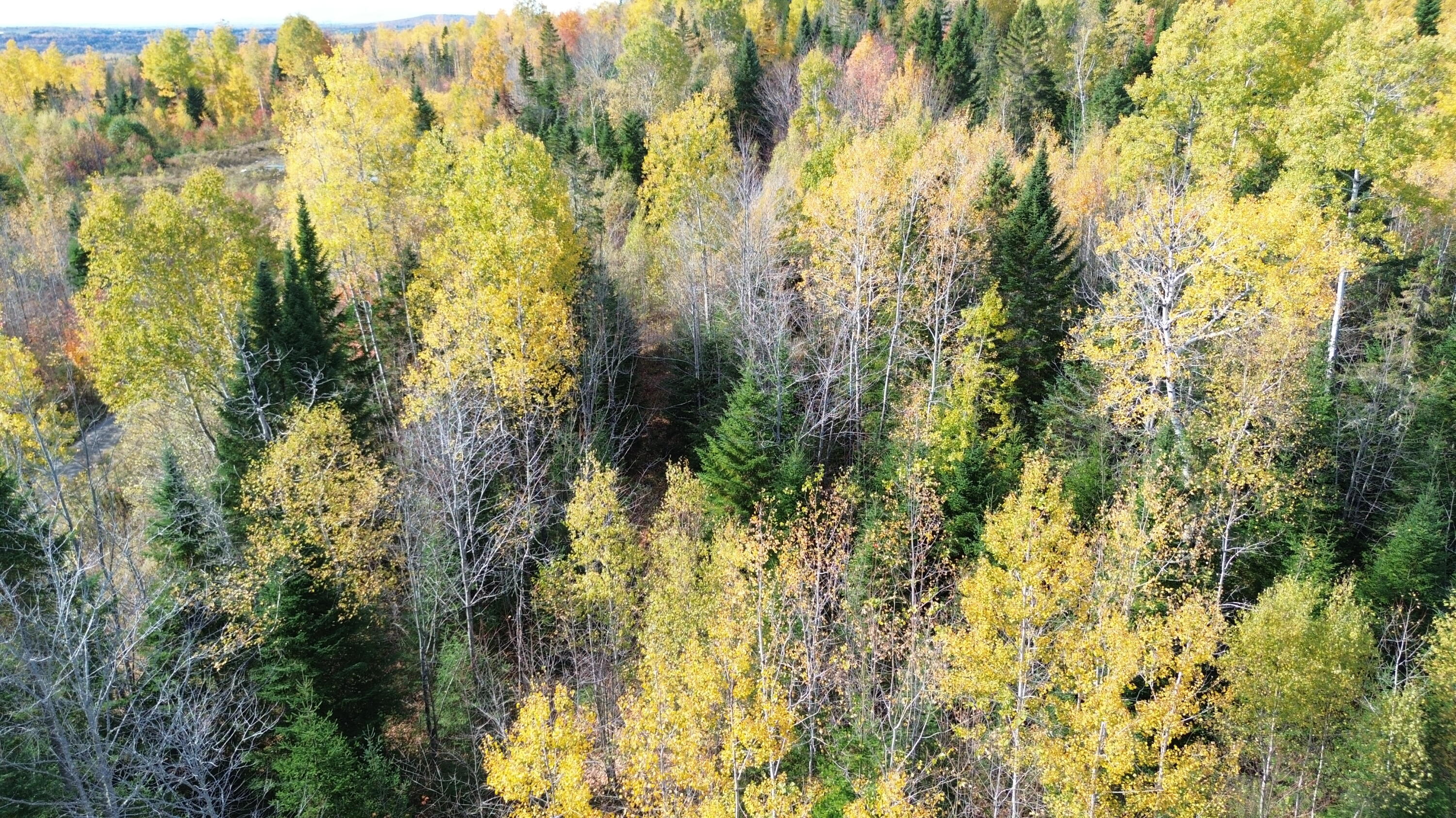 350 Currie Road Smyrna, ME 04780 - Photo 6 of 35 DJI_0569