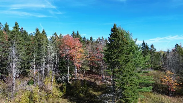 $119,900 | 350 Currie Road, Smyrna, ME 04780